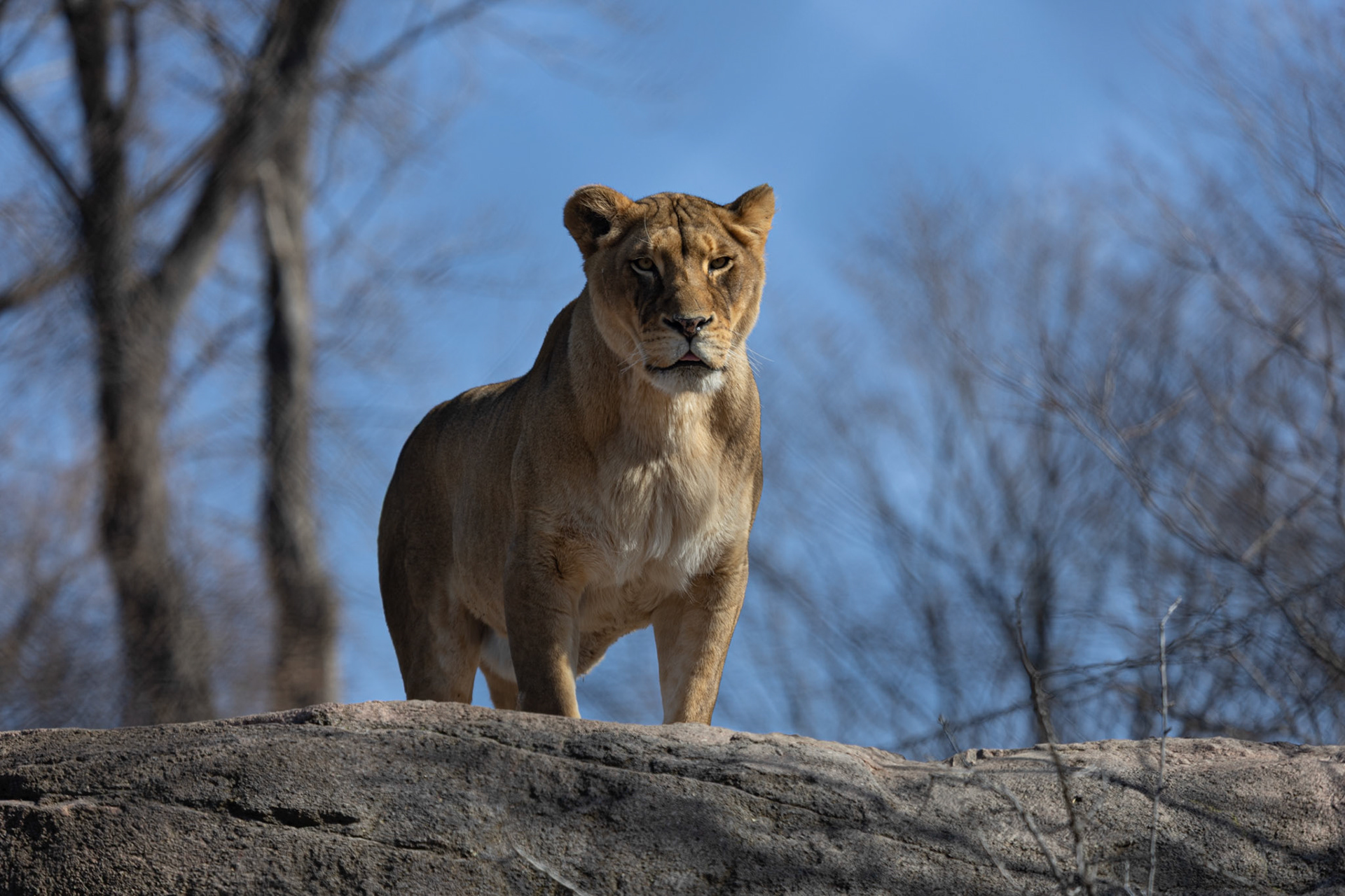 Seneca Park Zoo