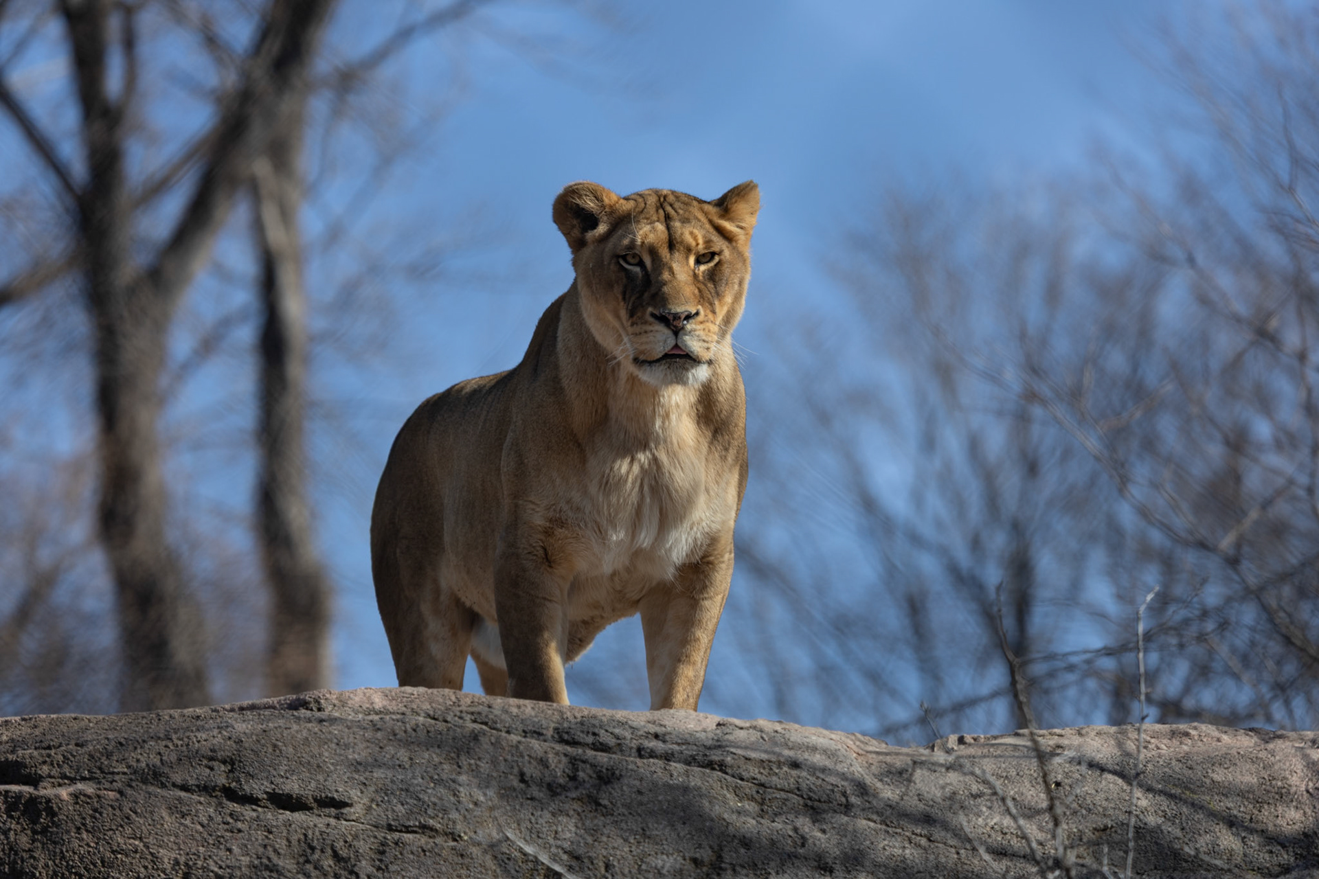 Seneca Park Zoo
