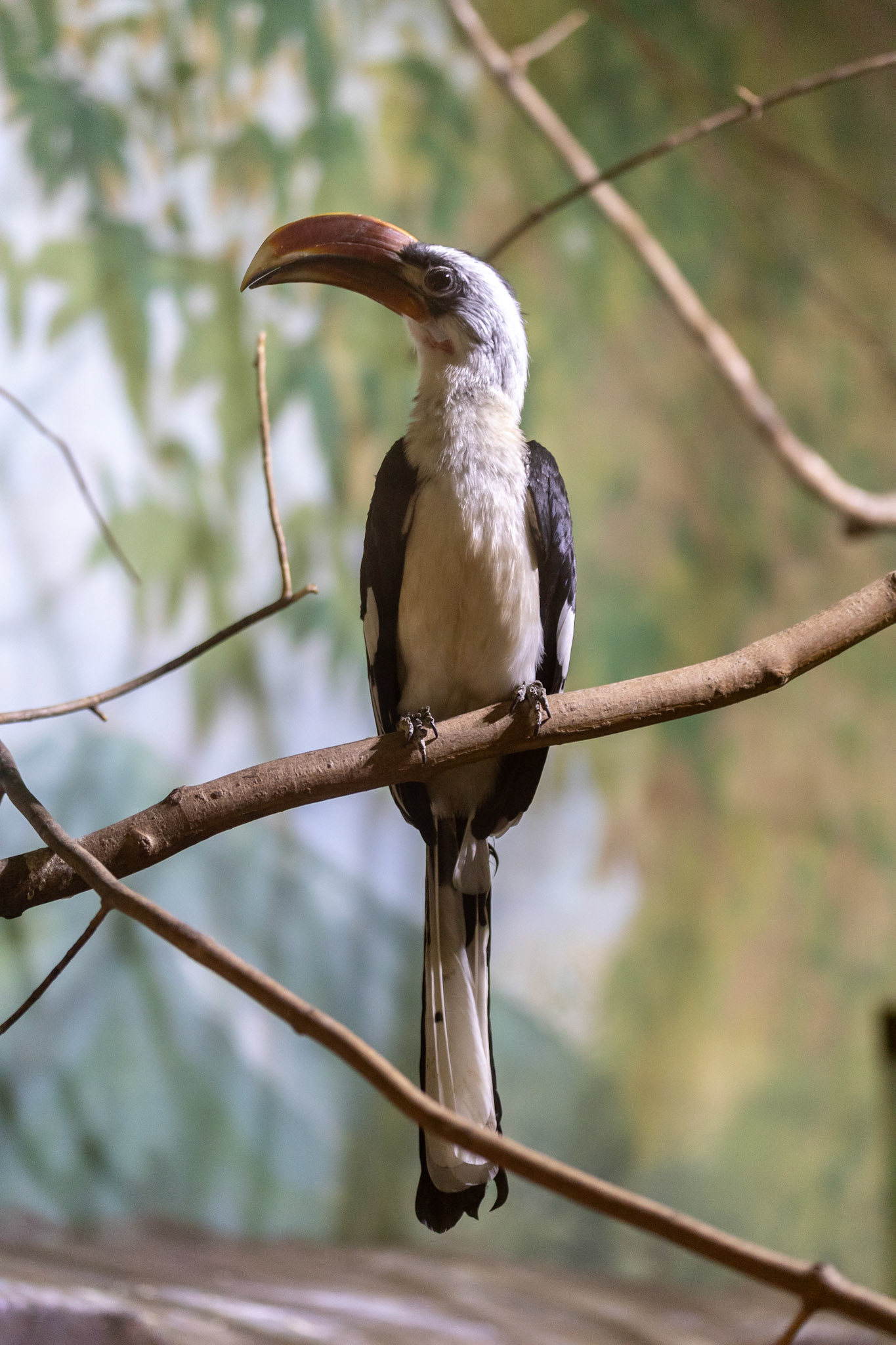 Rosamond Gifford Zoo