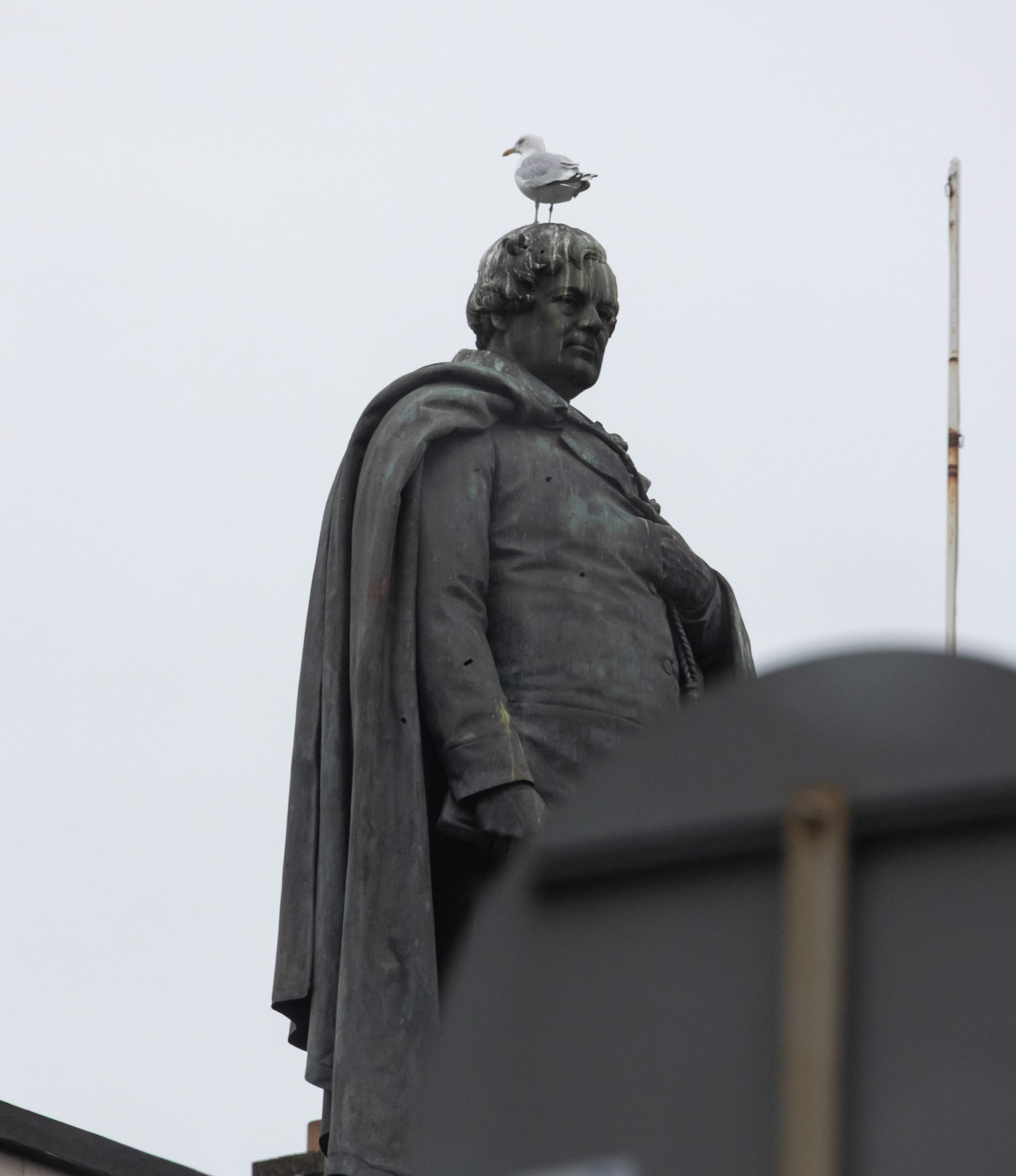 Daniel O'Connell monument with obligatory seagull (note bullet holes)
