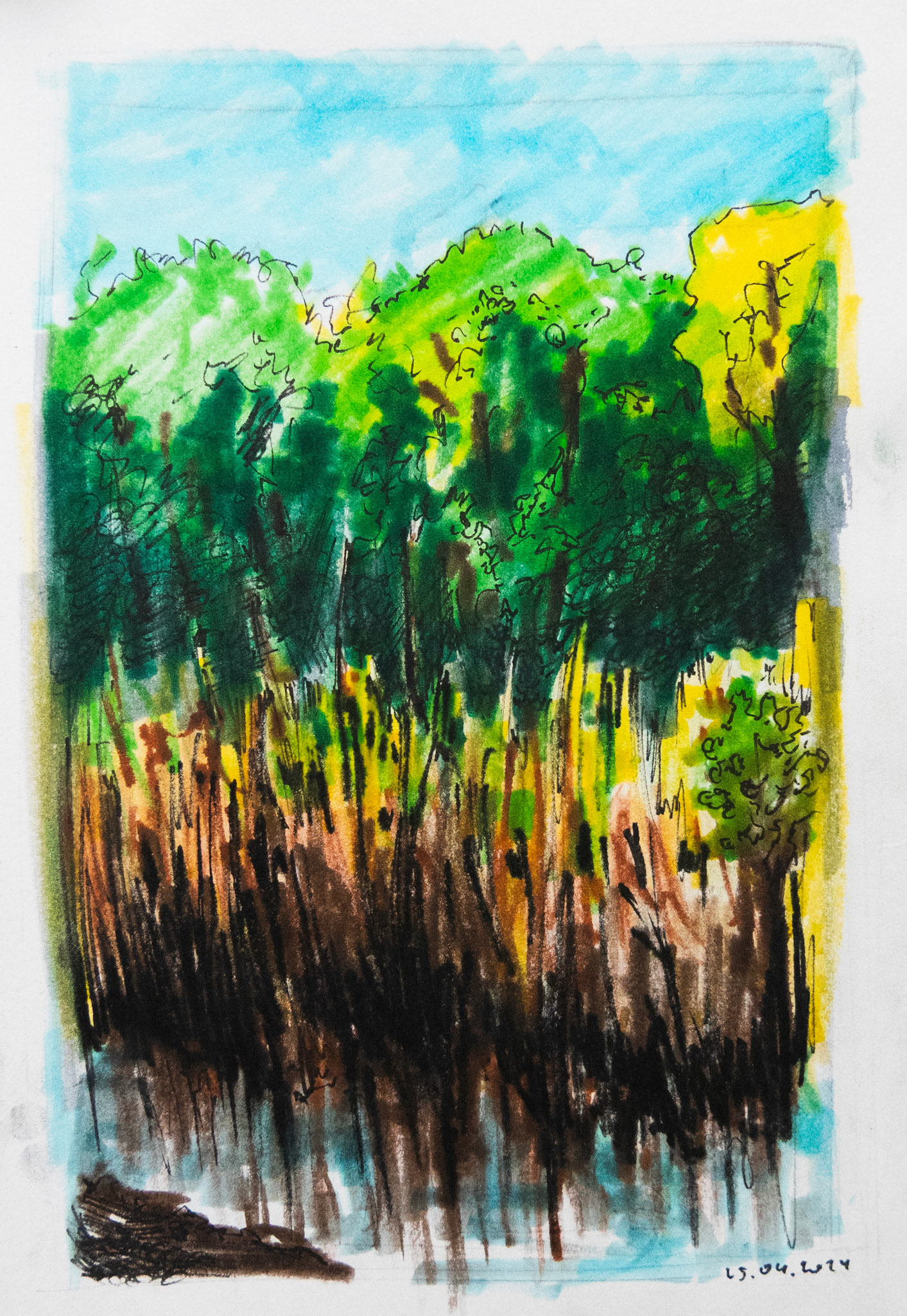 My hometown forest 2024