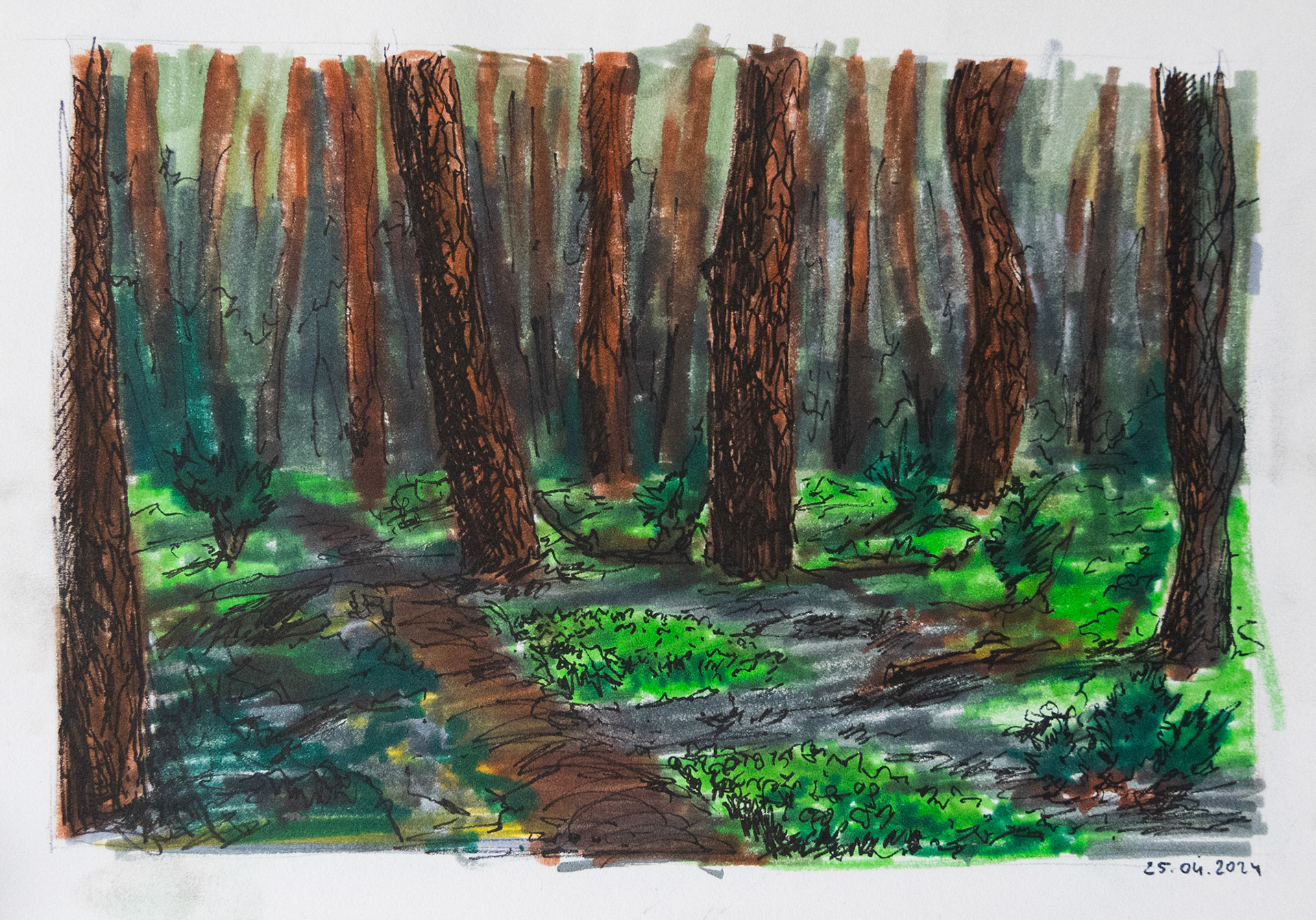 My hometown forest 2024