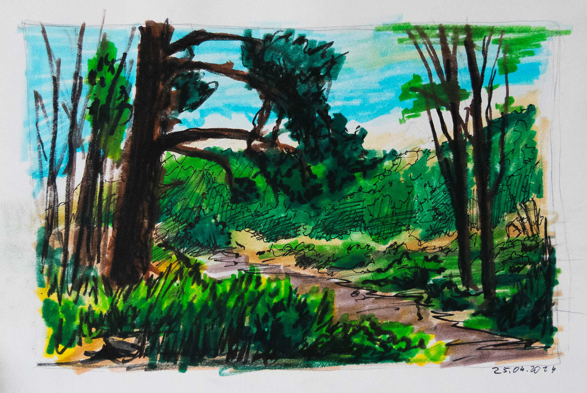 My hometown forest 2024