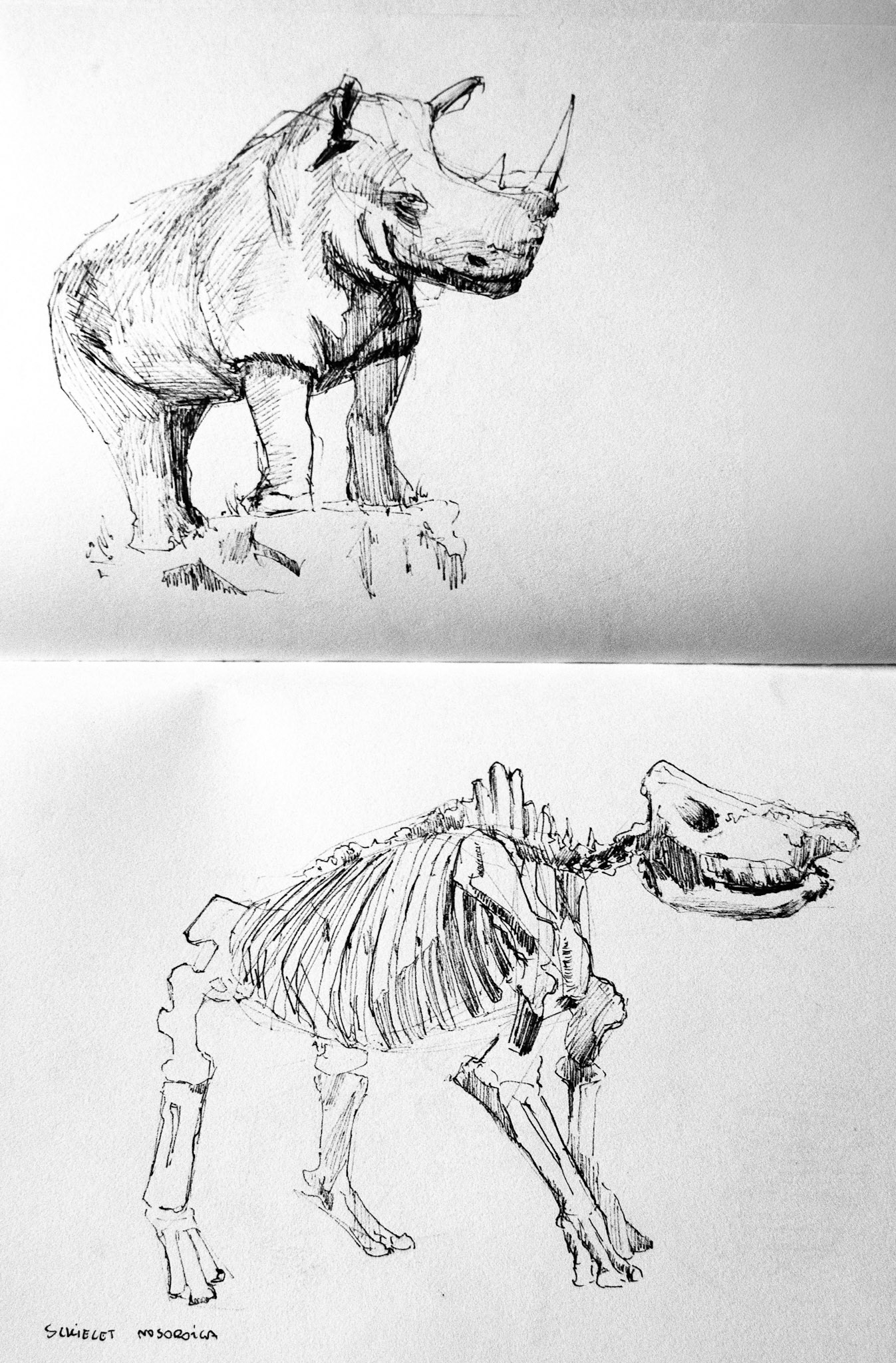 Museum of Natural Sciences of Barcelona 2022
