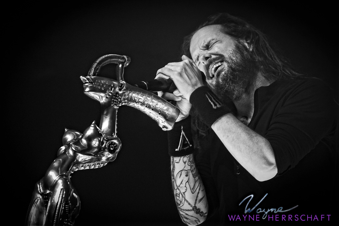 Jonathan Davis (KORN)