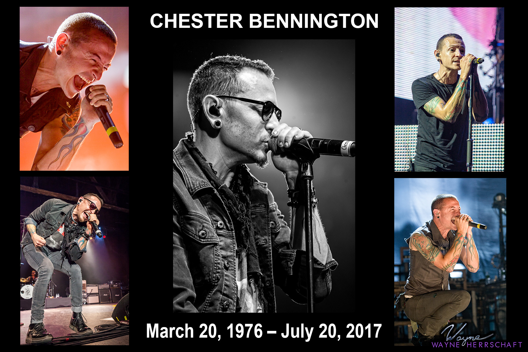 Chester Bennington (Linkin Park)