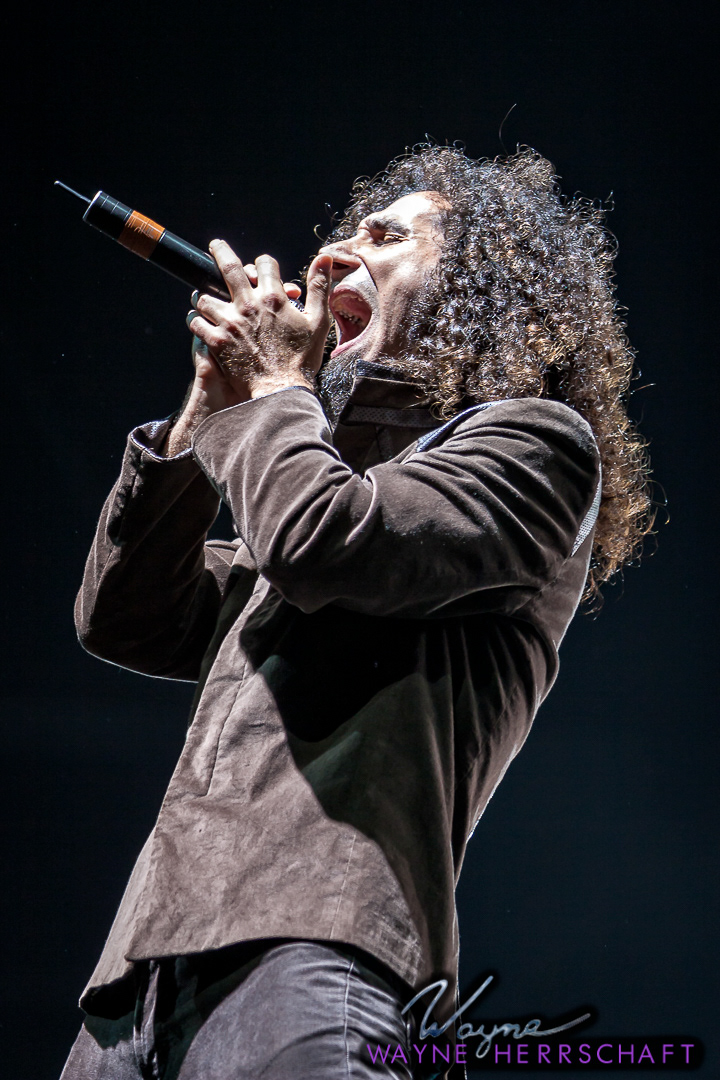 Serj Tankian (System of a Down)