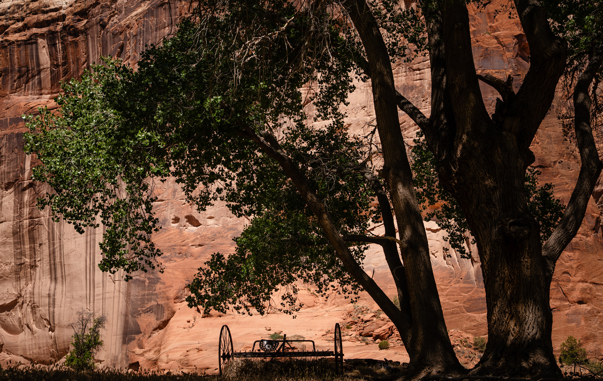 Canyon de Chelley