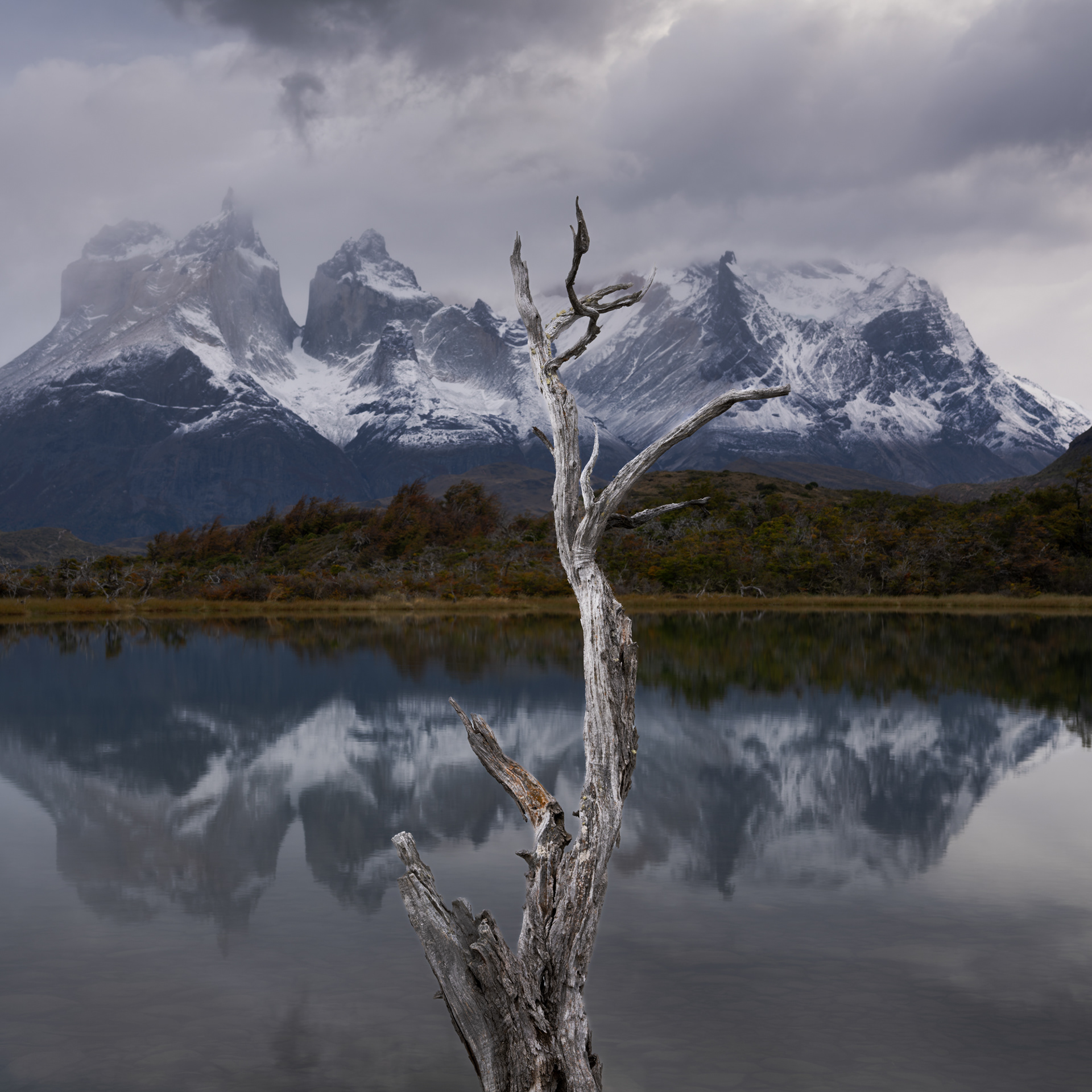 Patagonia