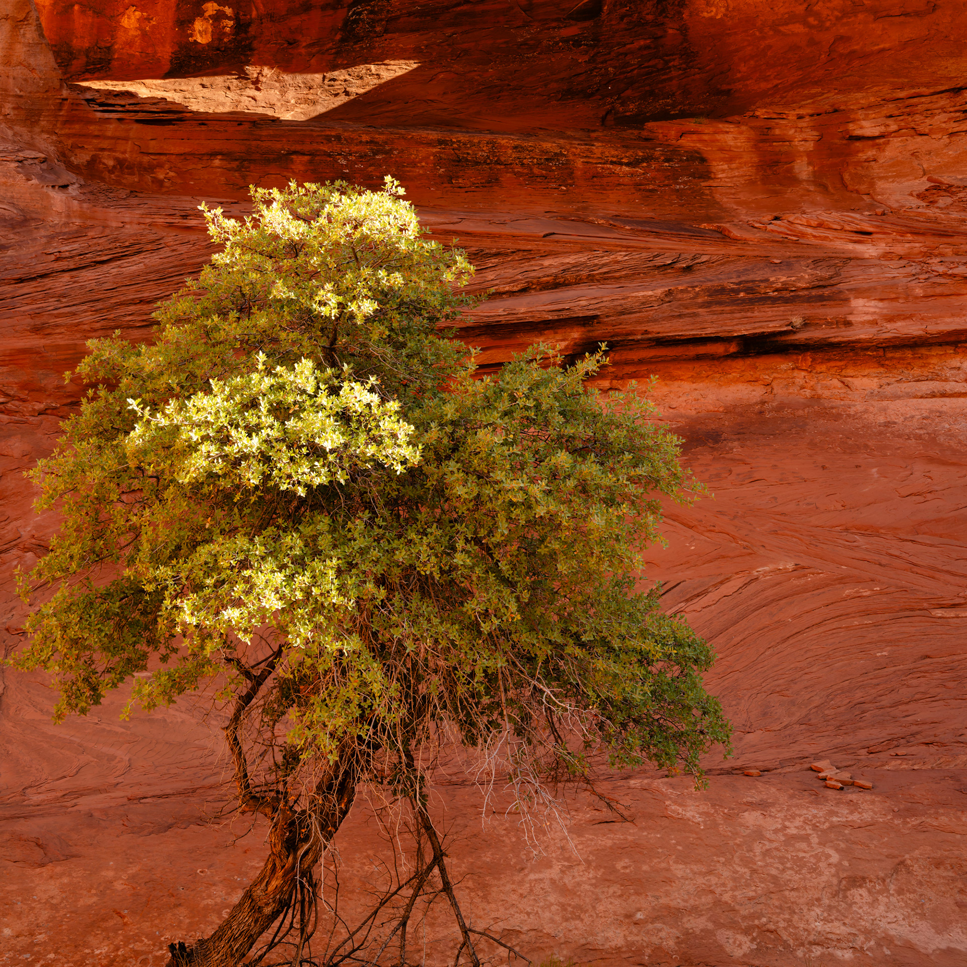 Monument Valley