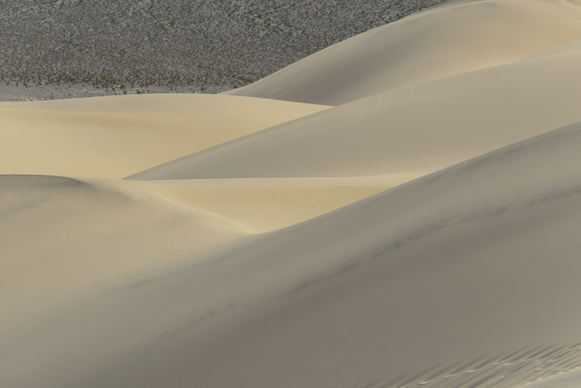 Mesquite Dunes. CA