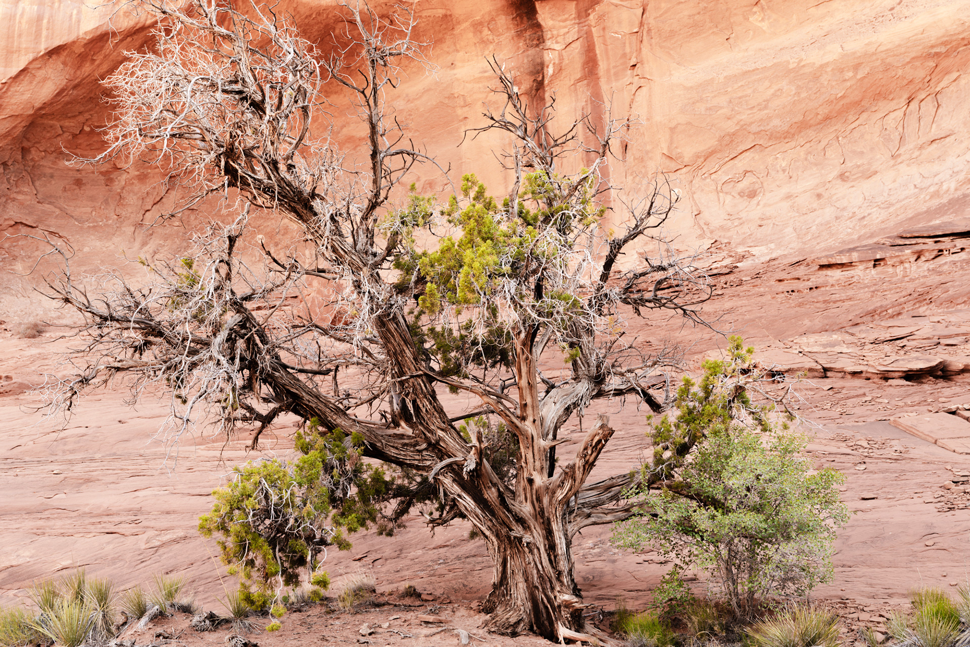 Canyon de Chelly