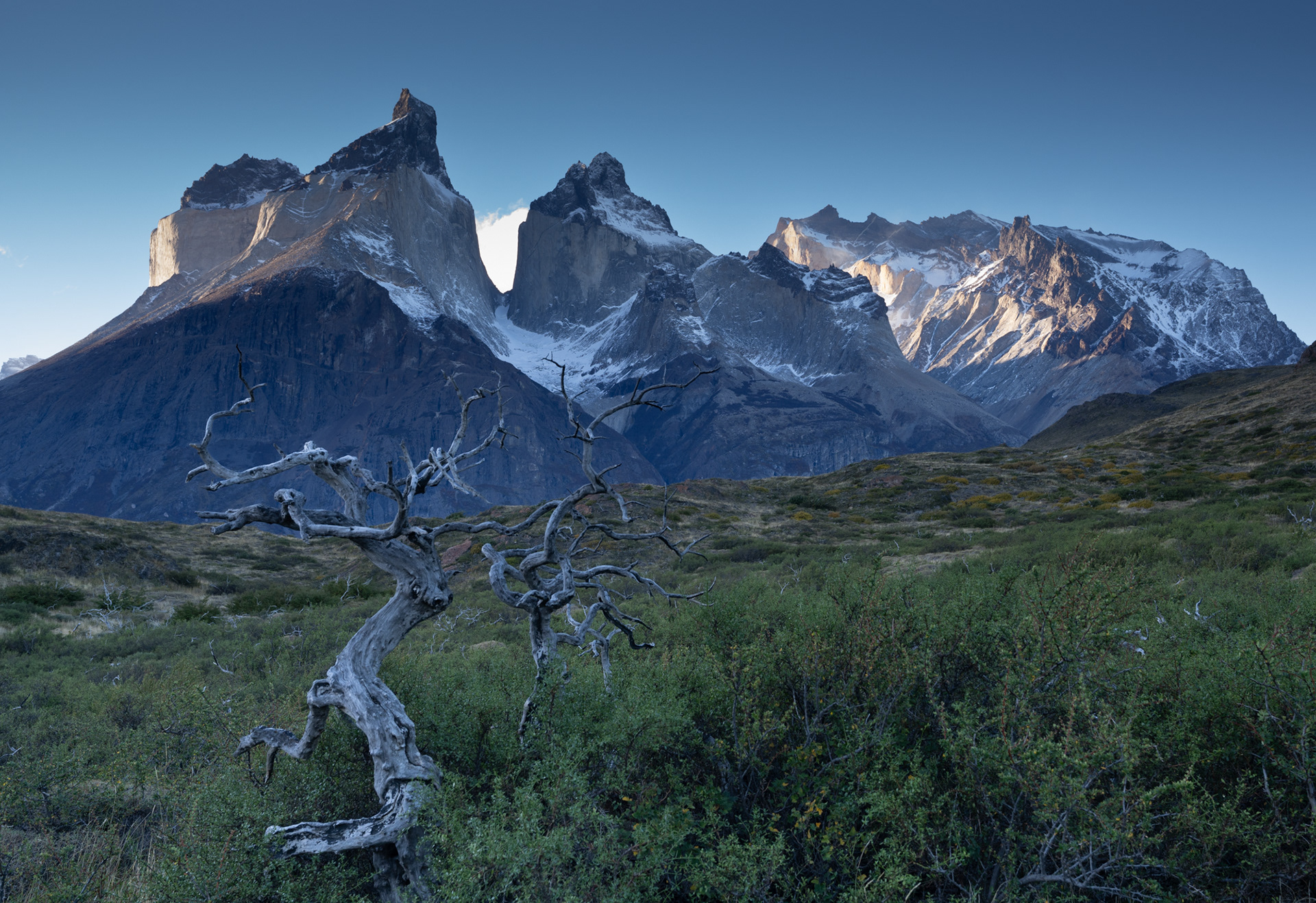 Patagonia