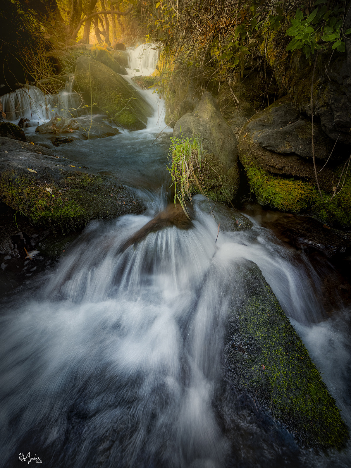 Río Genil. Güejar Sierra