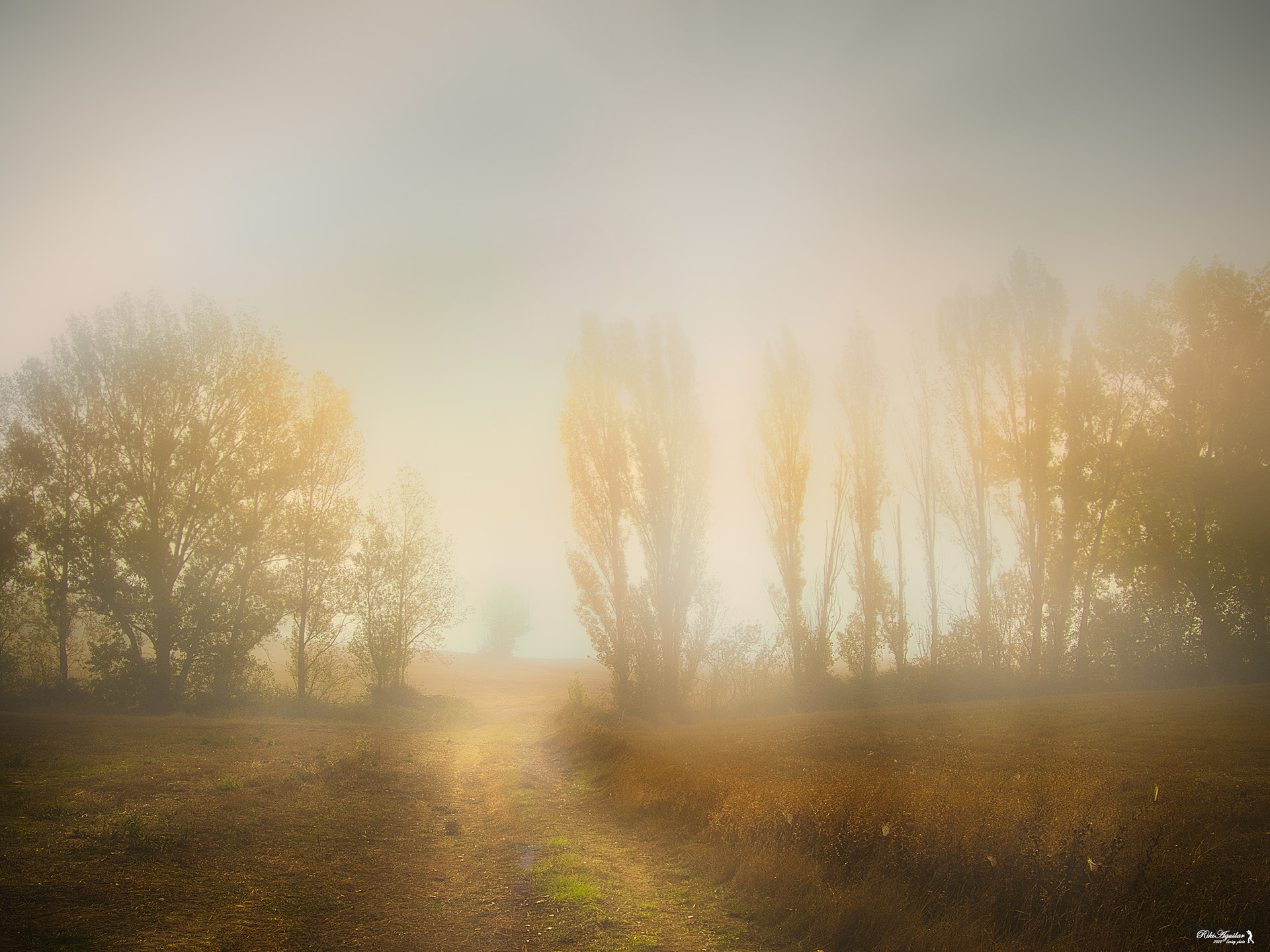 Campos de Castilla y León, Burgos.
