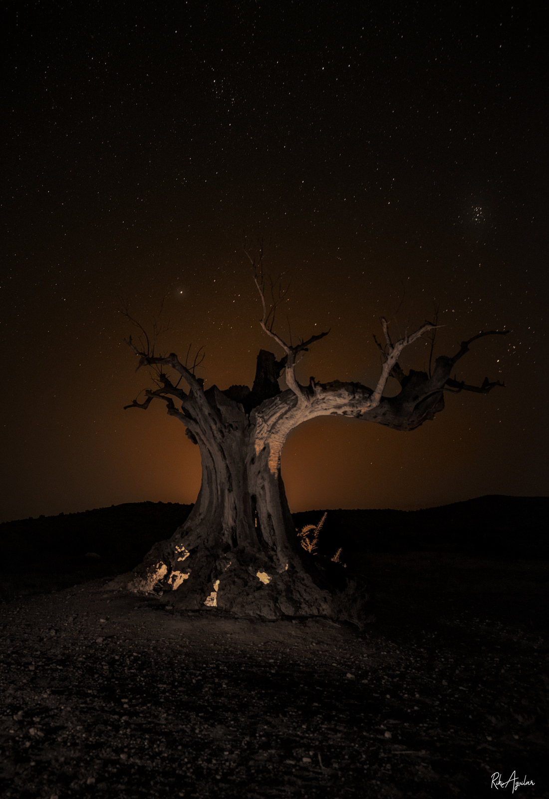 Desierto de Tabernas. Almería.