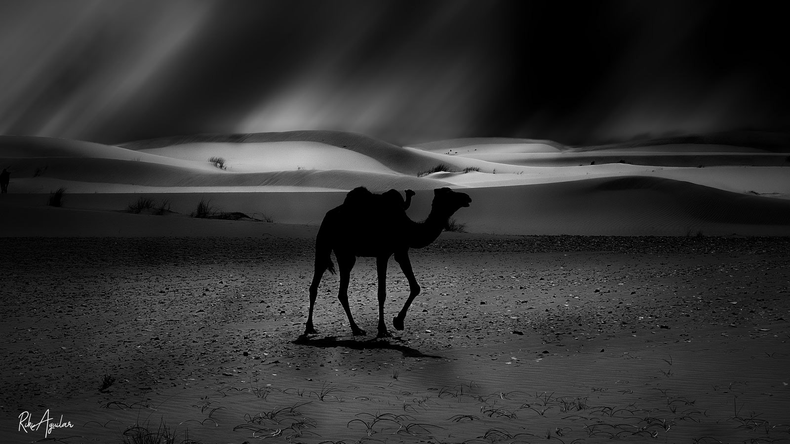 En algún lugar del desierto marroquí...