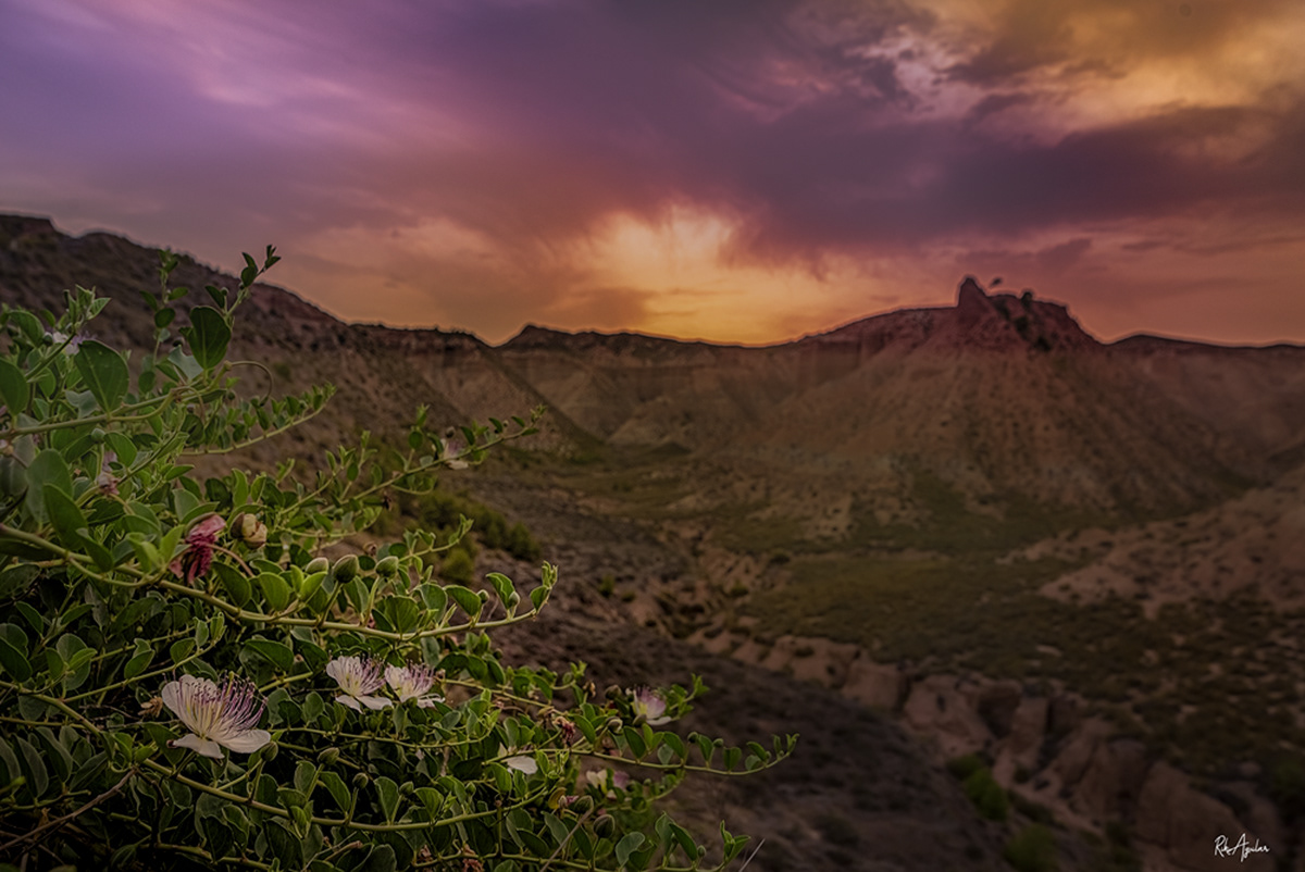 Los Coloraos. Desierto de Gorafe