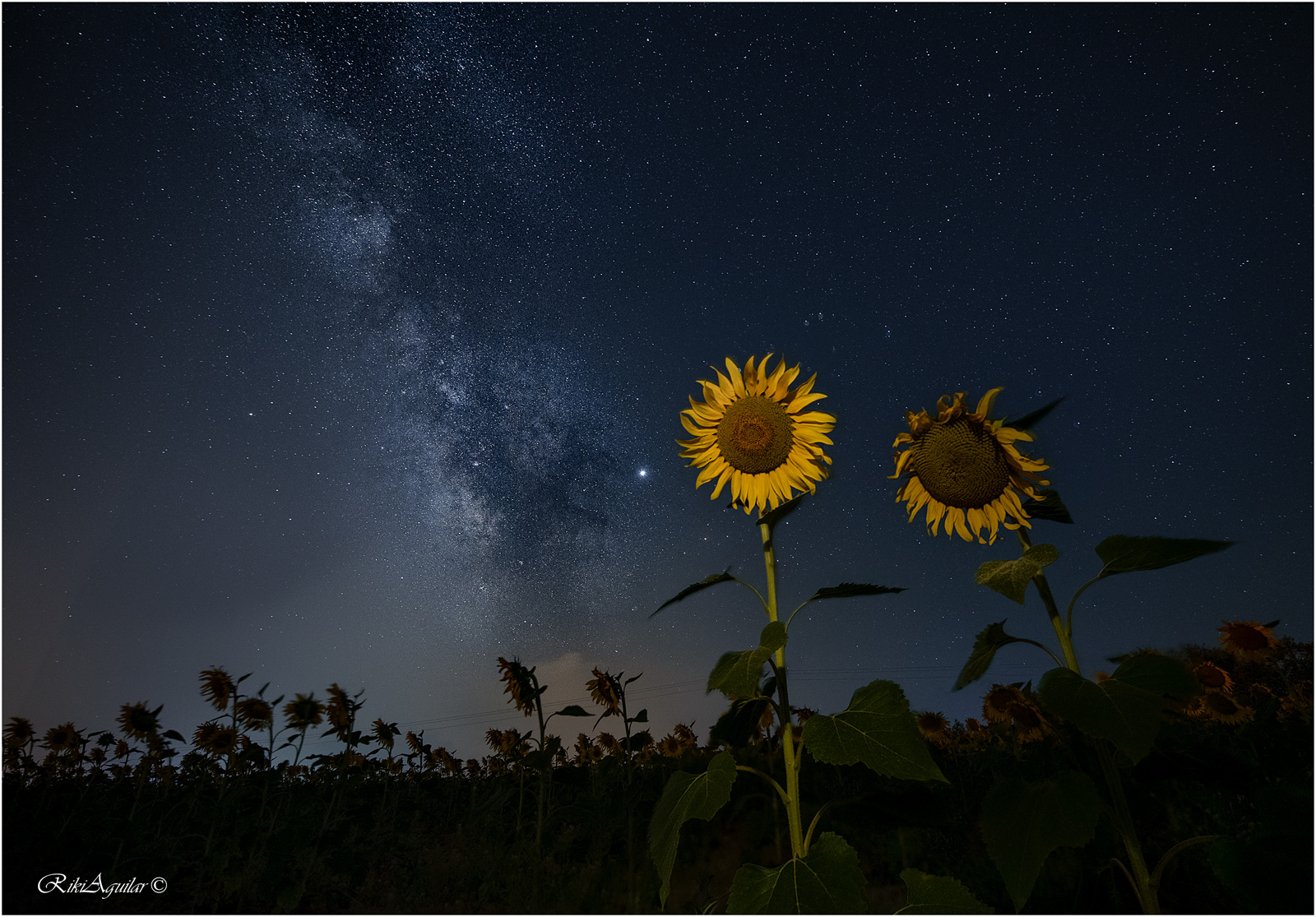 Giraroles y Vía Láctea. 