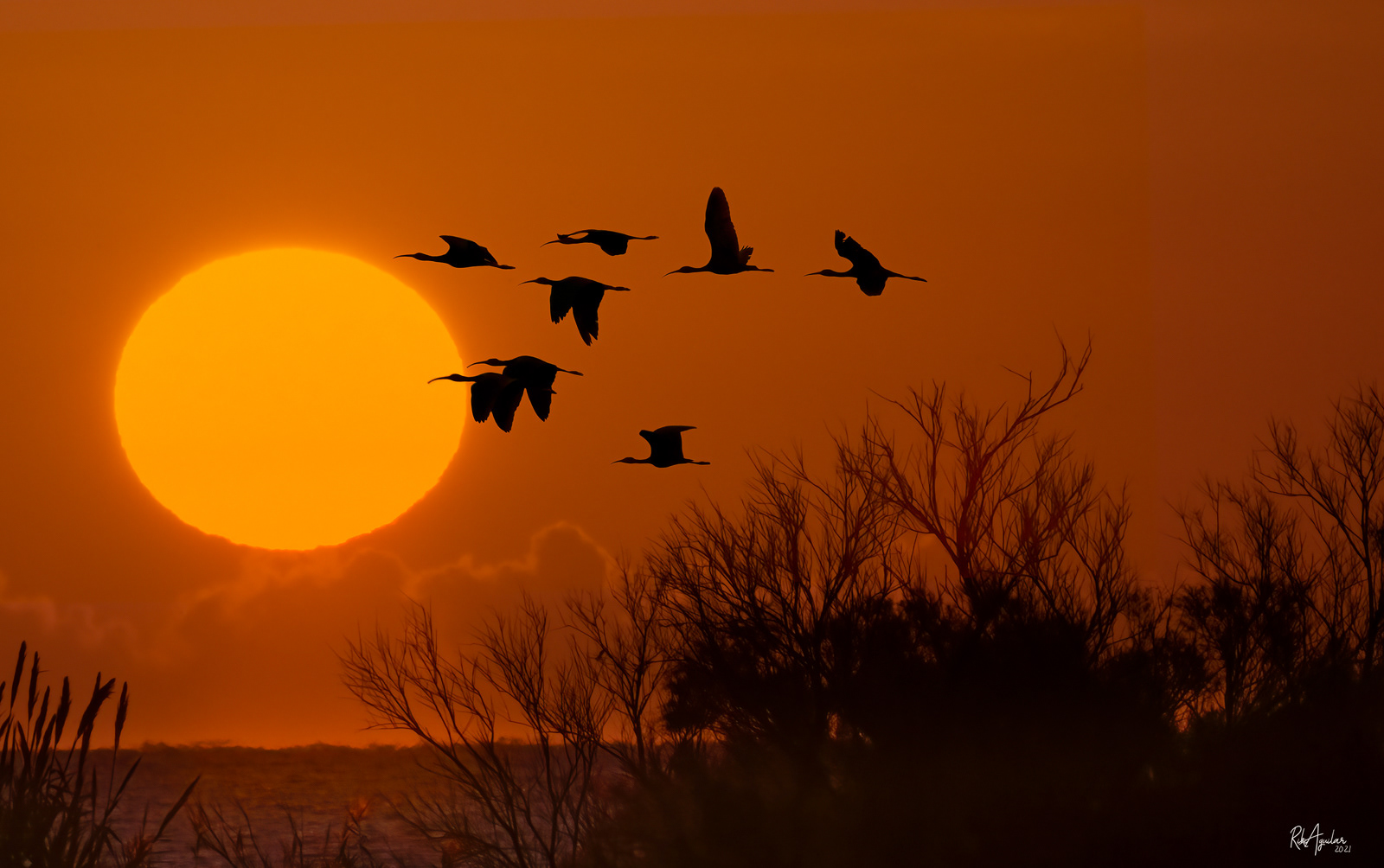 Sunrise - Amanecer en Guadalhorce