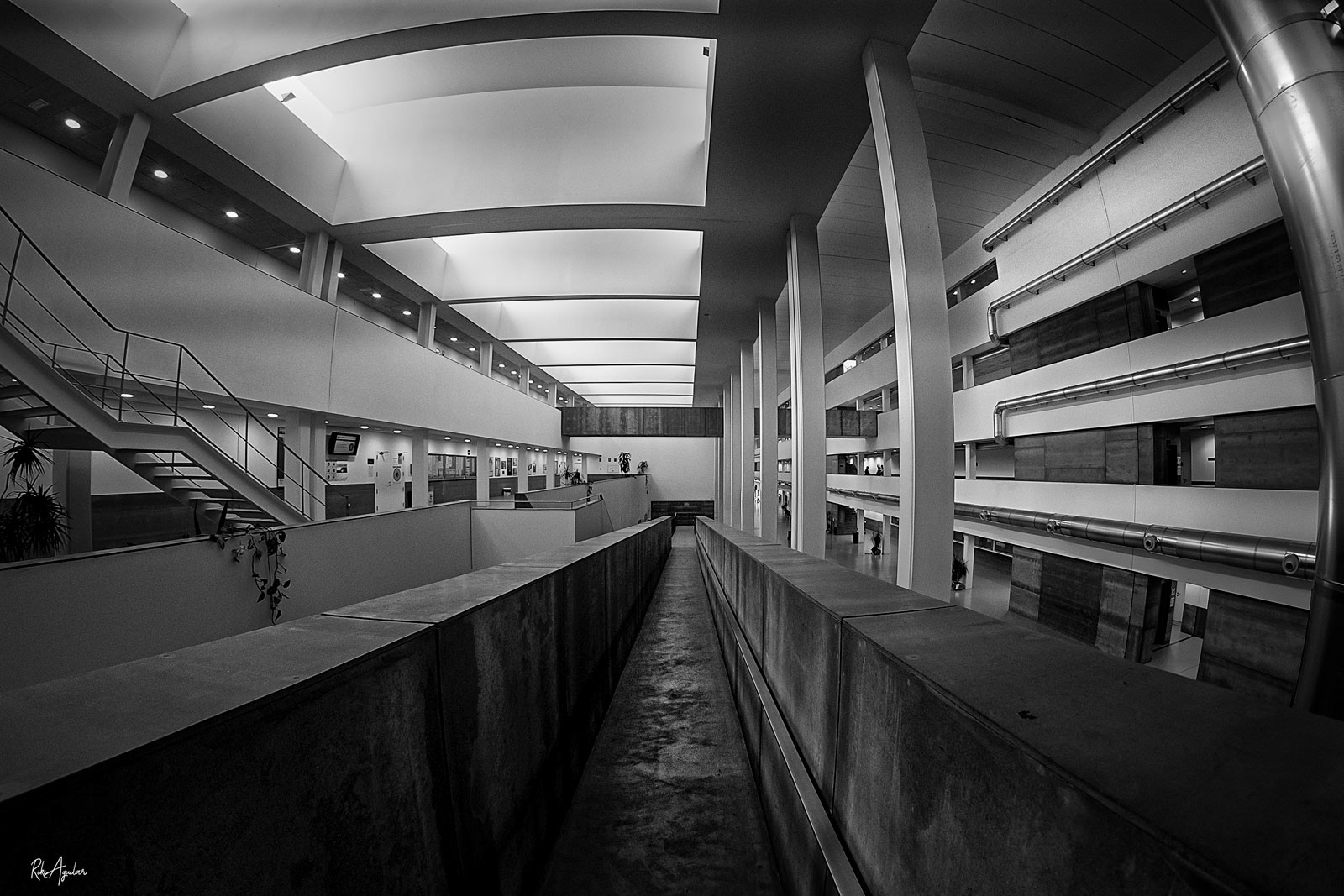 Facultad CESC, Málaga