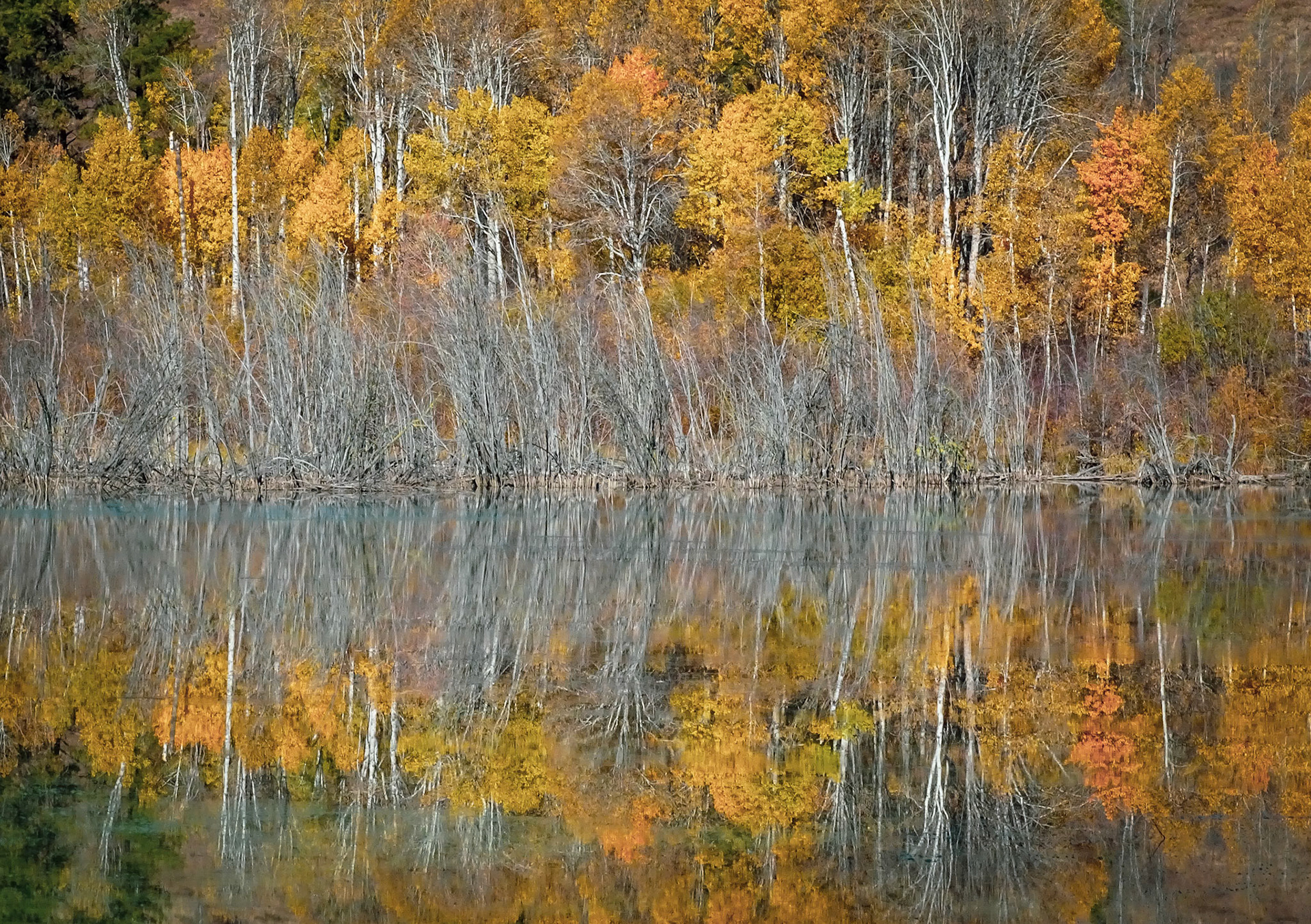 Autumn Reflections