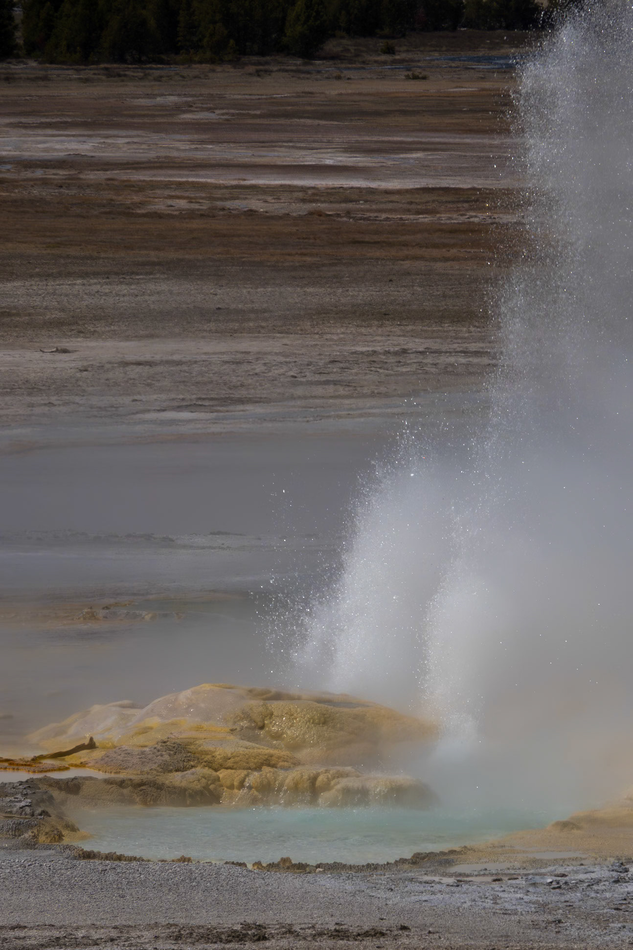 Geyser
