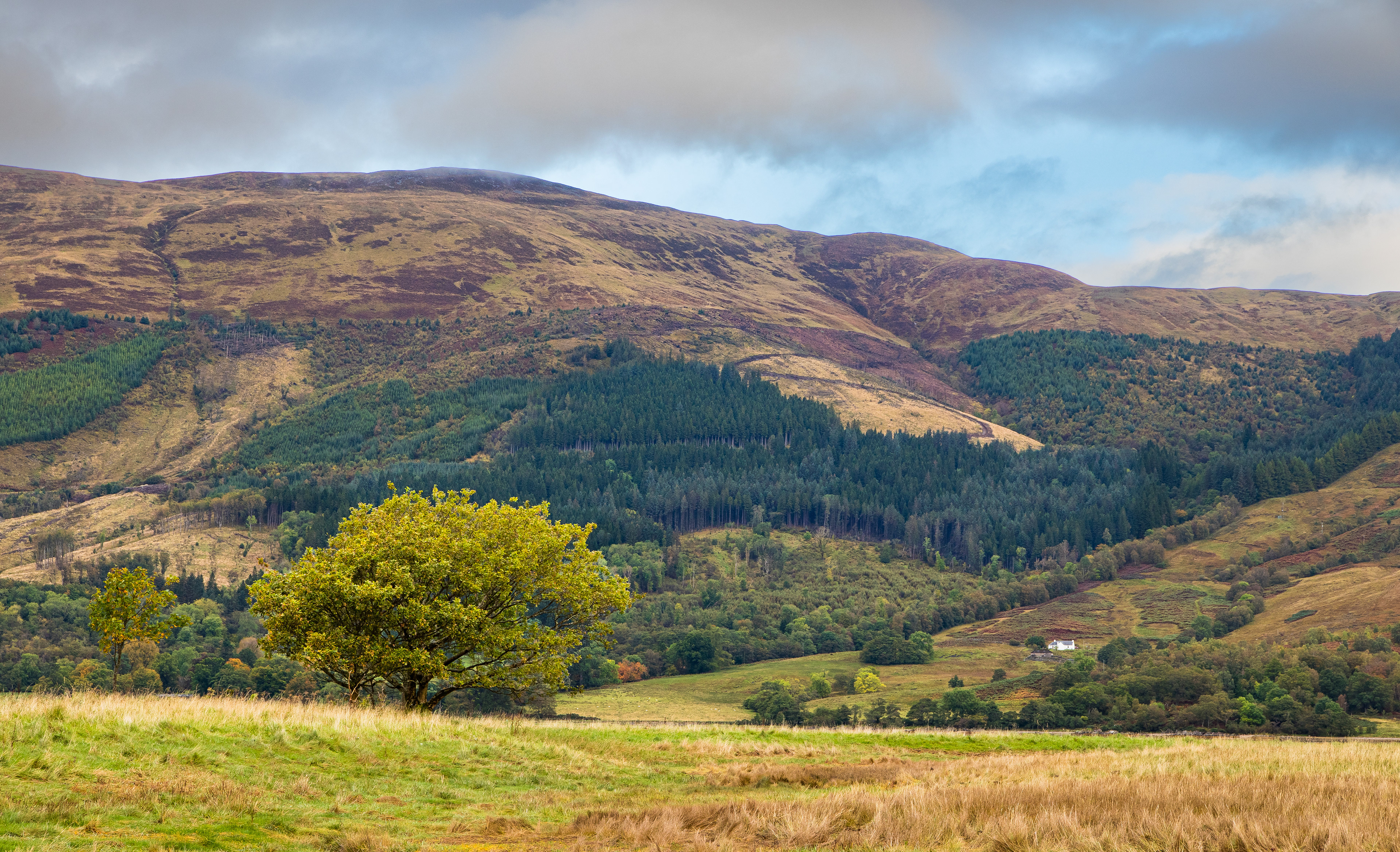 Glencoe