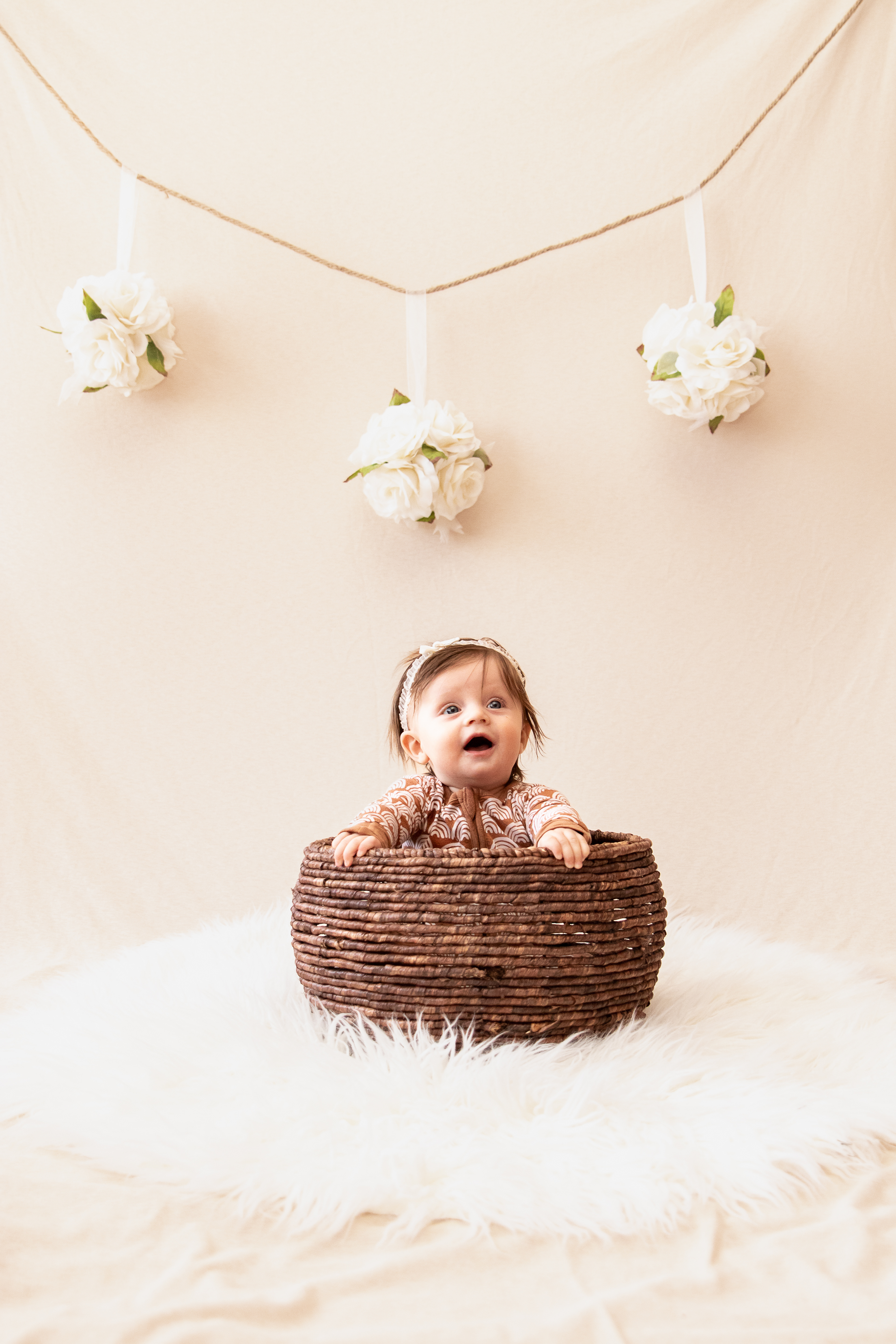 True Image Photography