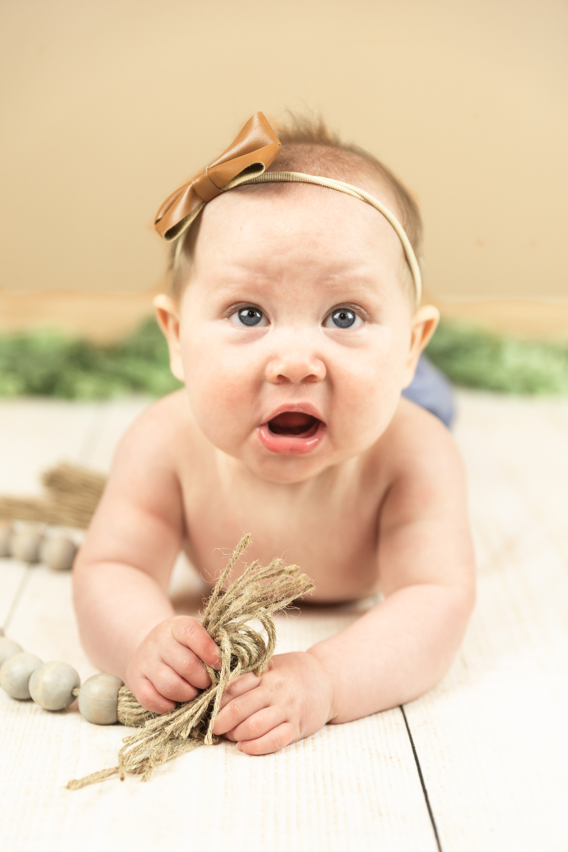 True Image Photography