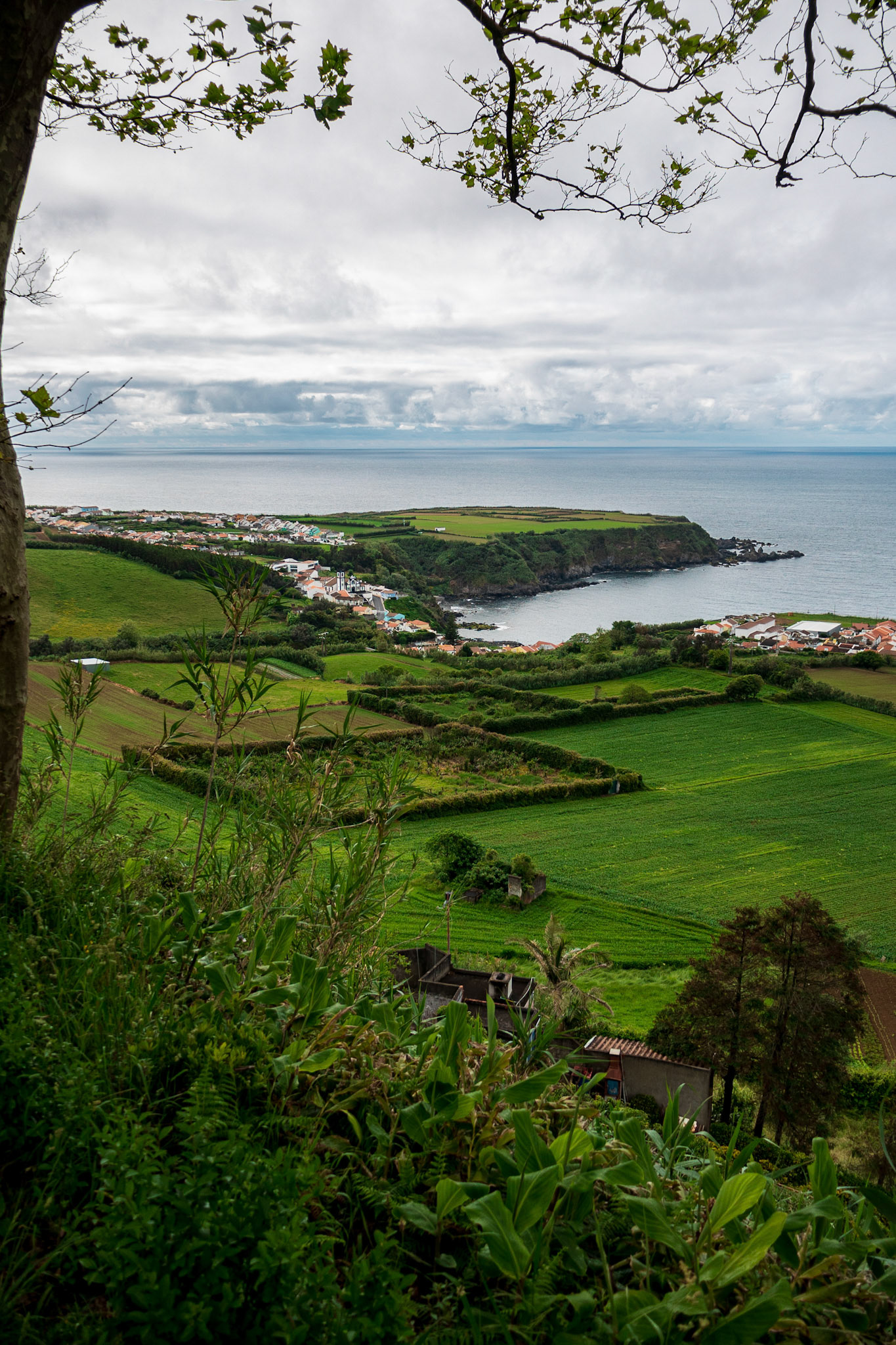 Viewpoint São Miguel 