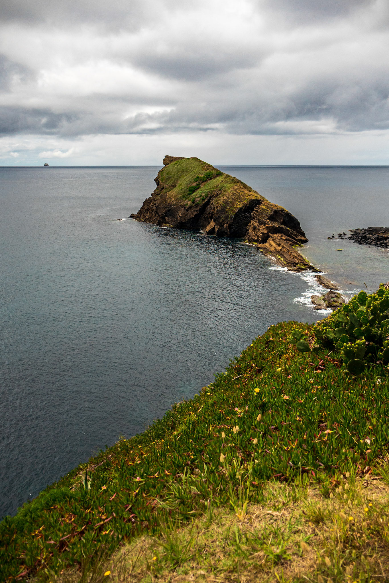 ilhéu do rostro do cão