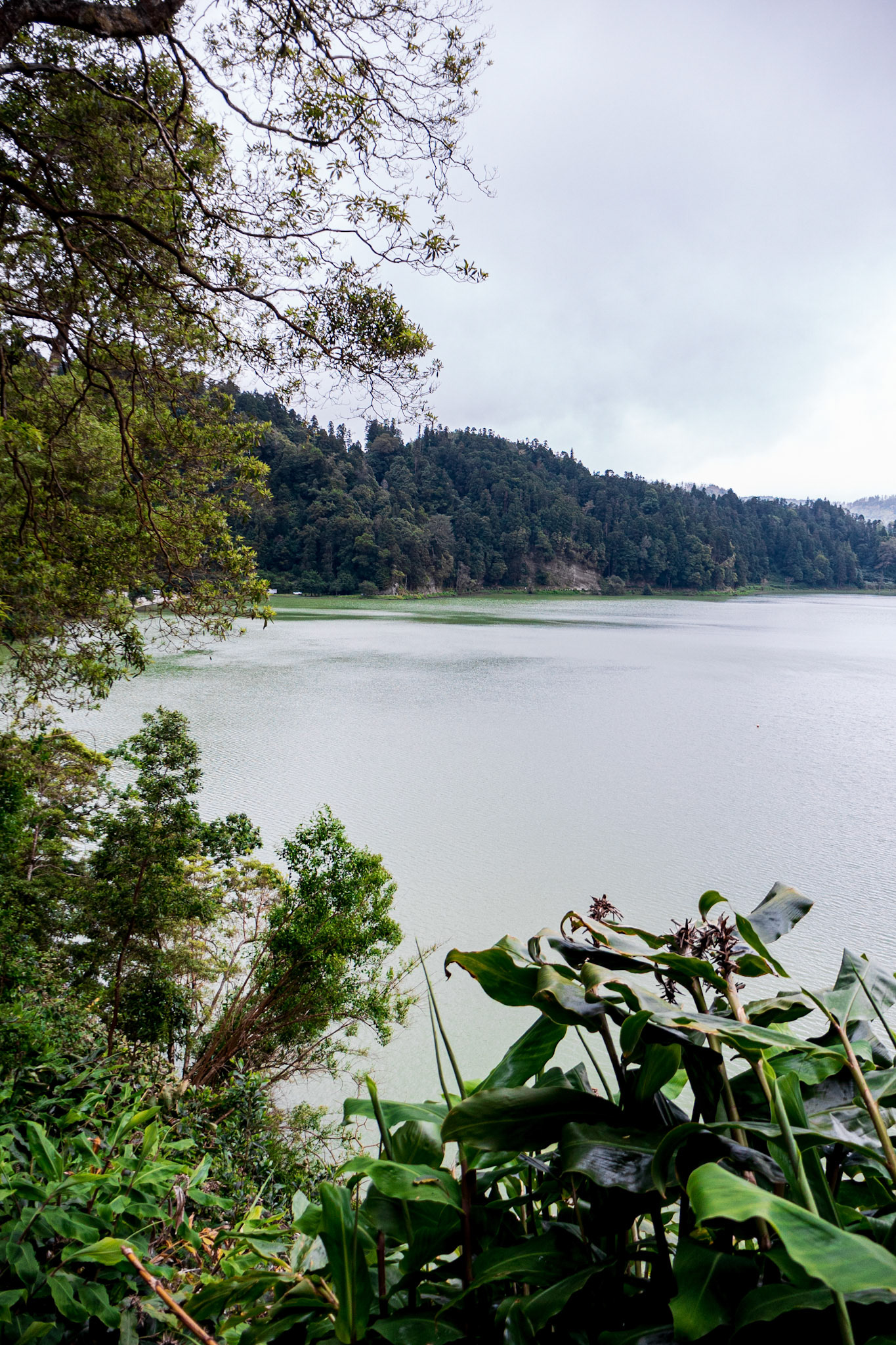 Sete Cidades, Lagoa Verde