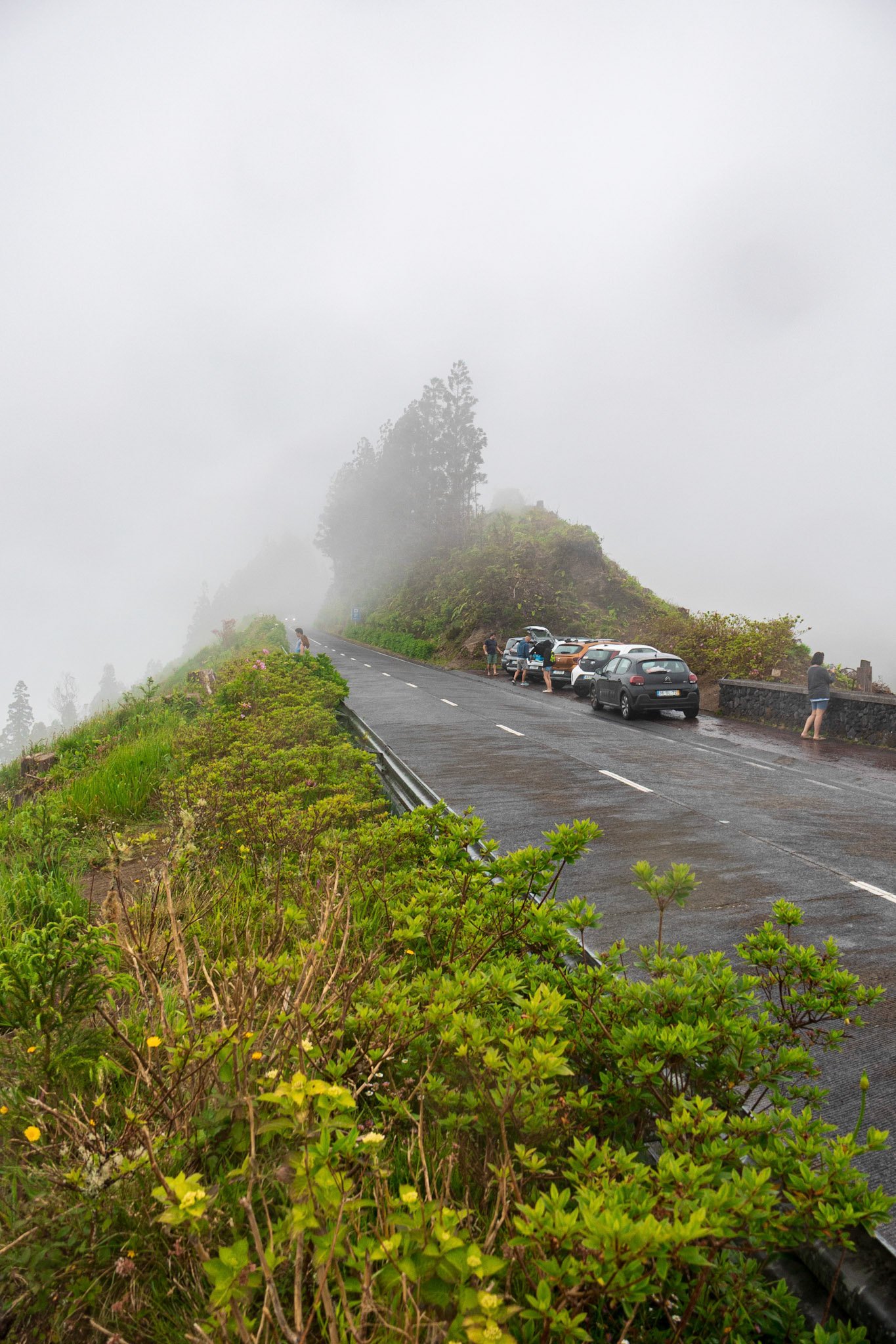 Sete Cidades, Lagoa Verde and Azul, Viewpoint