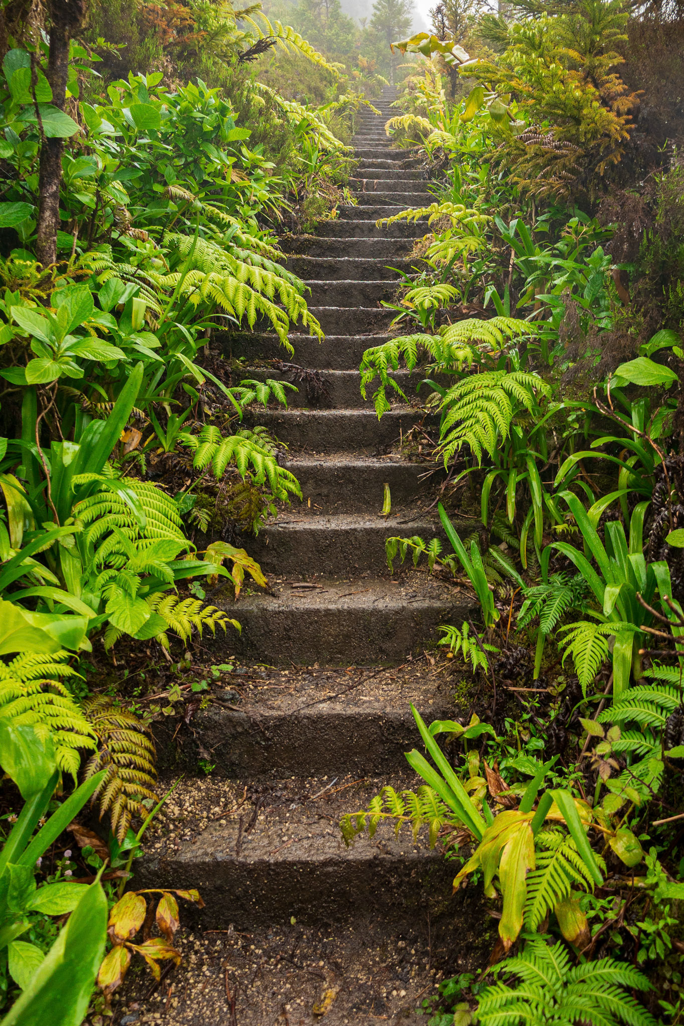 Abandoned Hotel in Sete Cidades 