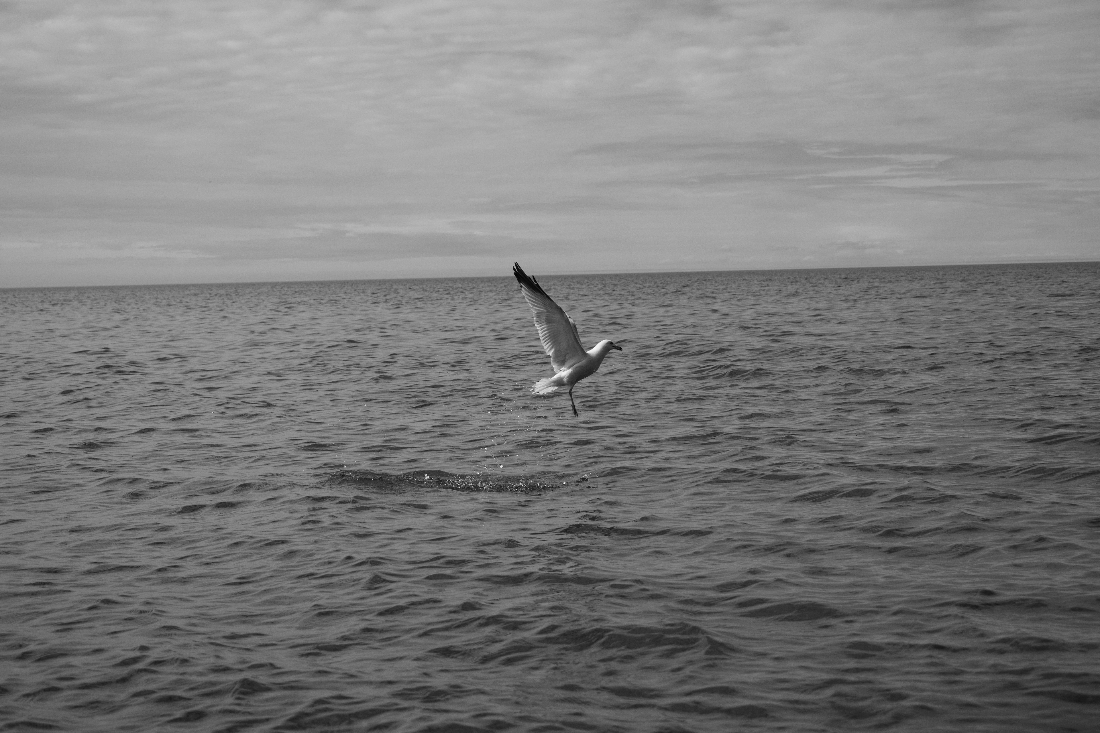 Dive, April 2021