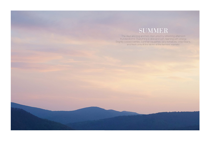 erika-oliveira-creative-director-books-steven-satterfield-root-to-leaf