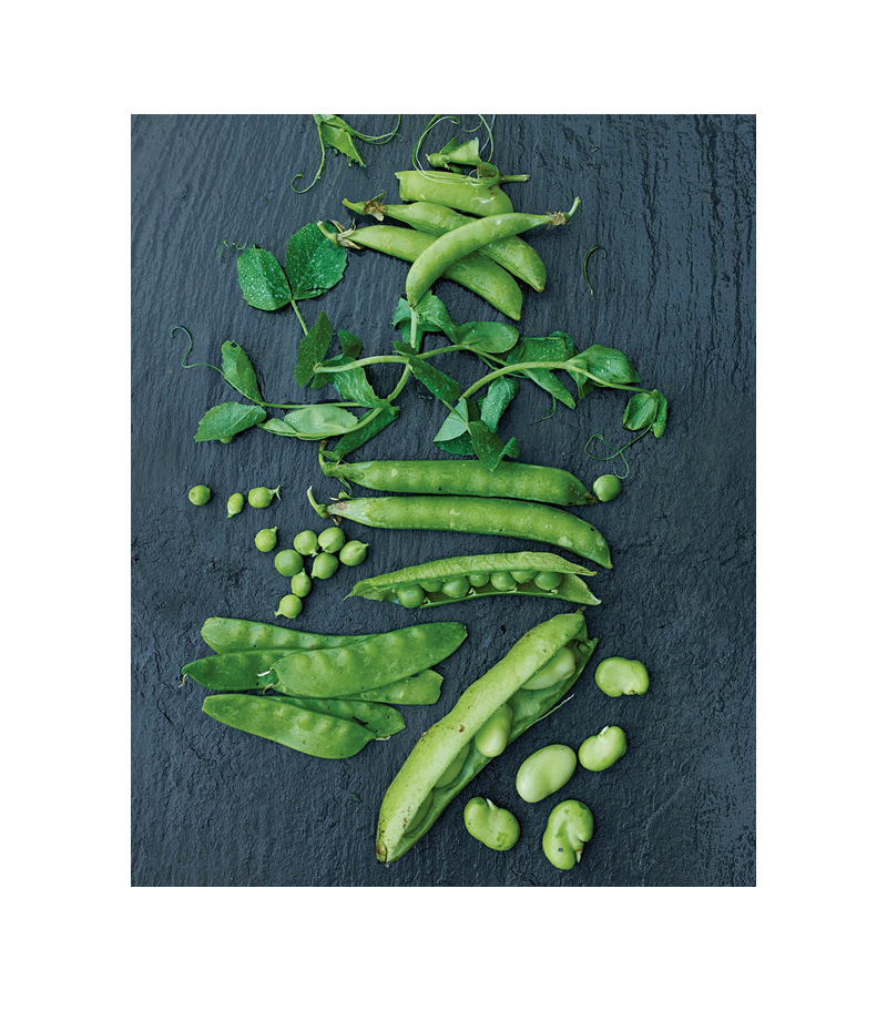 erika-oliveira-creative-director-chefs-steven-satterfield-miller-union