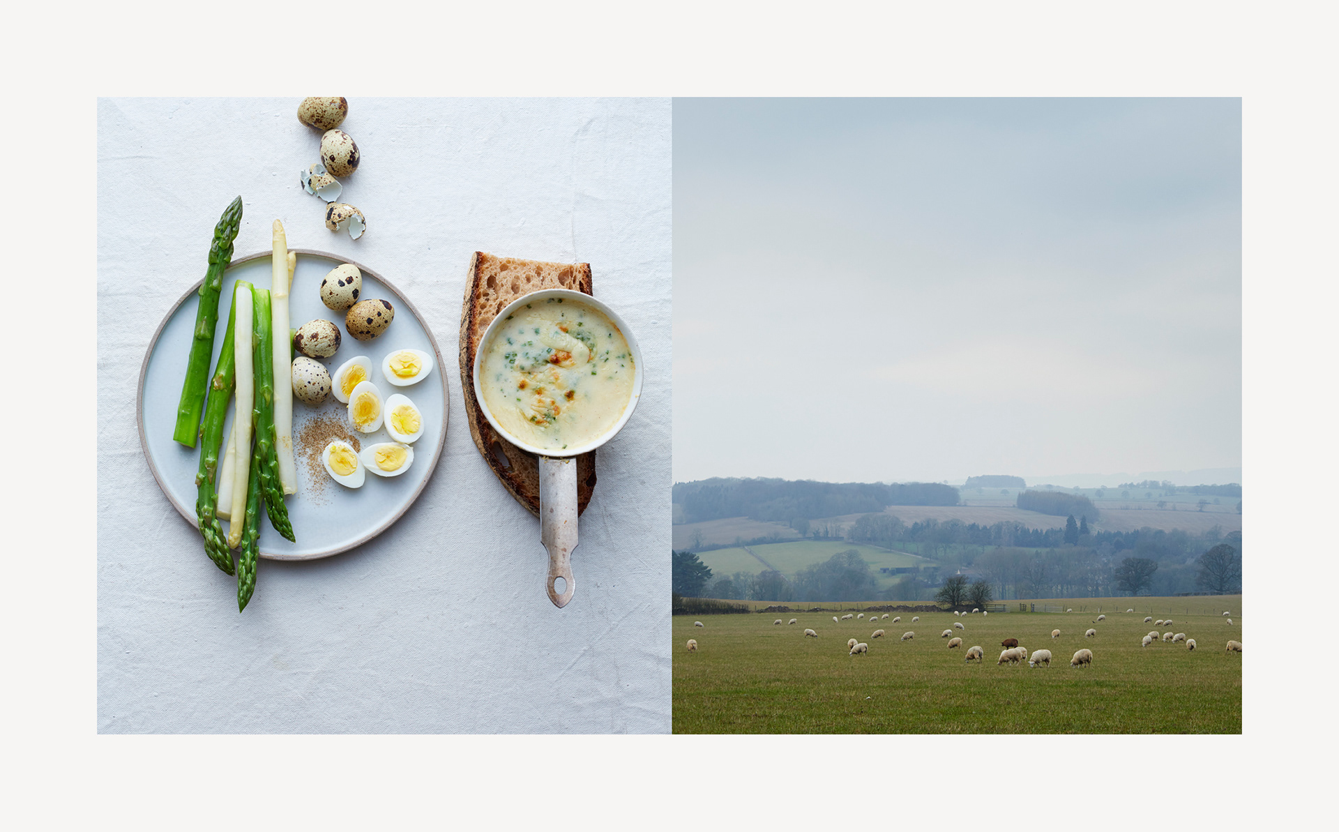 the-modern-dairy-annie-bell-books-erika-oliveira-creative-director