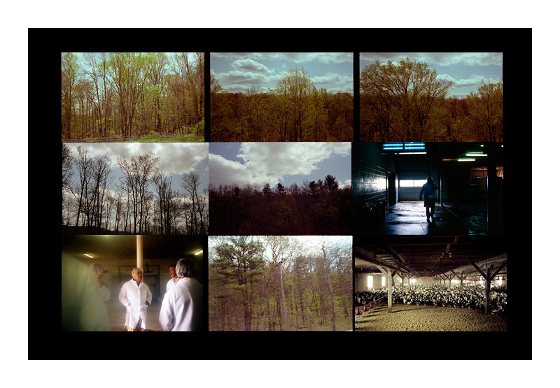 erika-oliveira-creative-director-books-david-chang-momofuku