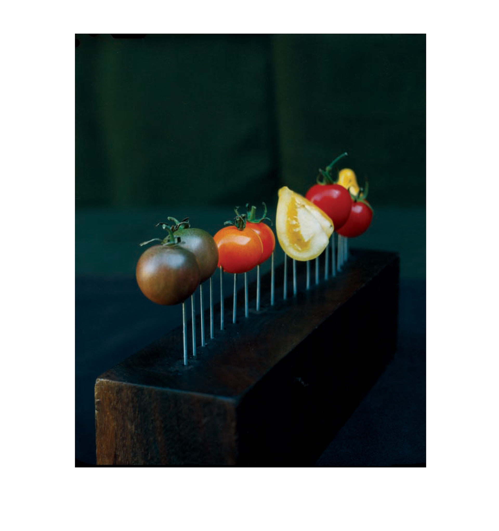 Chef Dan Barber, Blue Hill At Stone Barns, Erika Oliveira, Creative Director