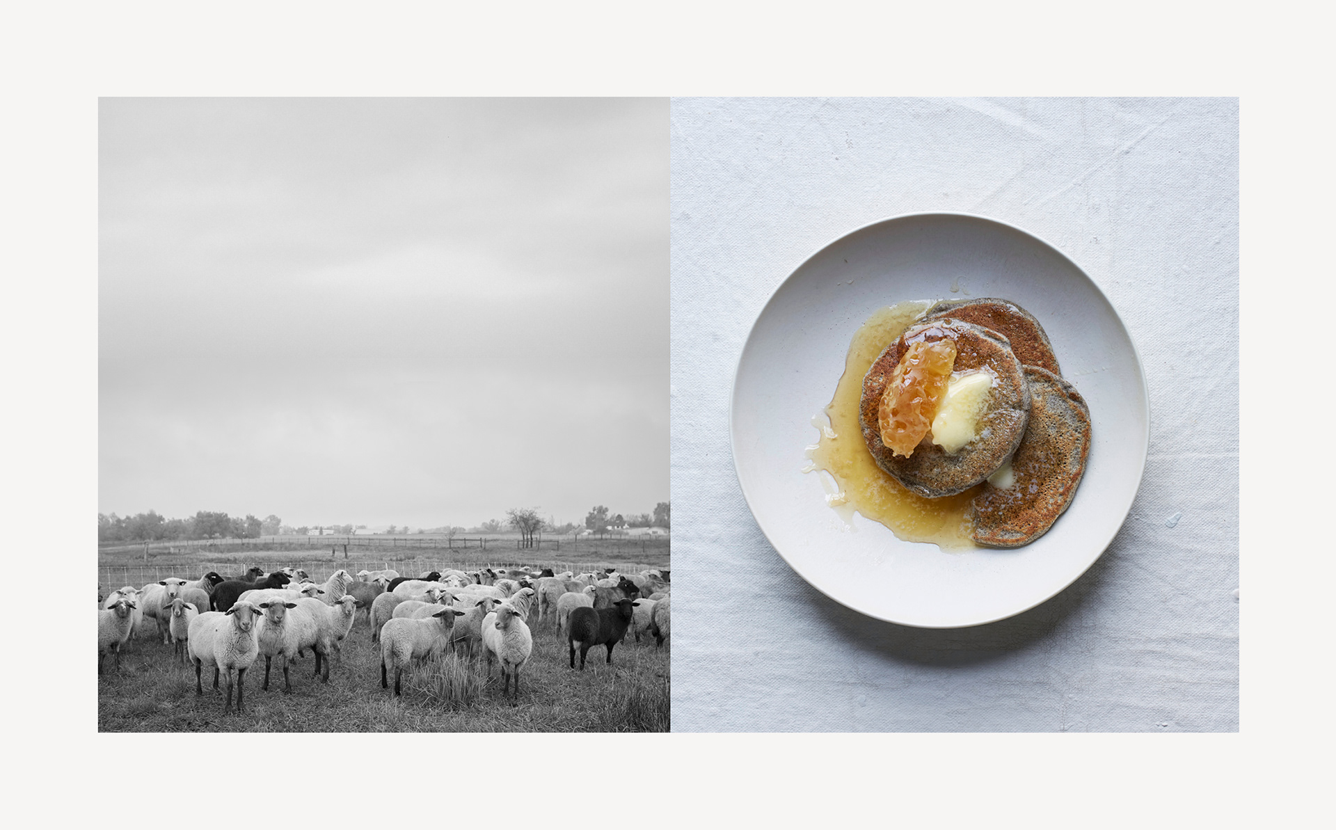 the-modern-dairy-annie-bell-books-erika-oliveira-creative-director