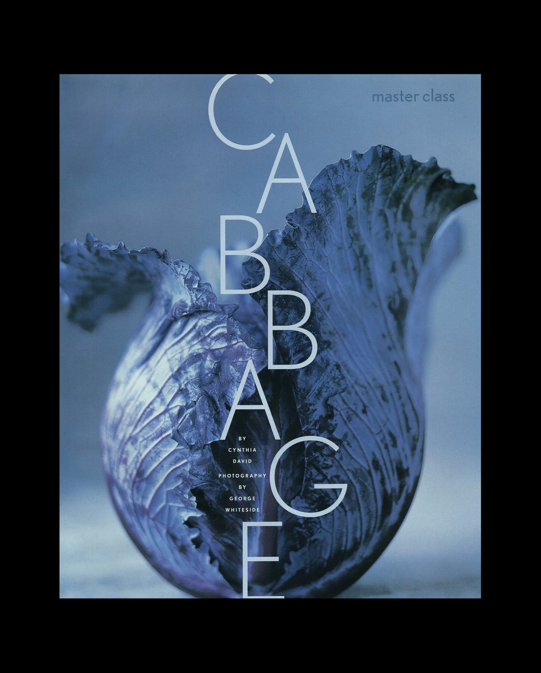 editorial-section-erika-oliveira-creative-director