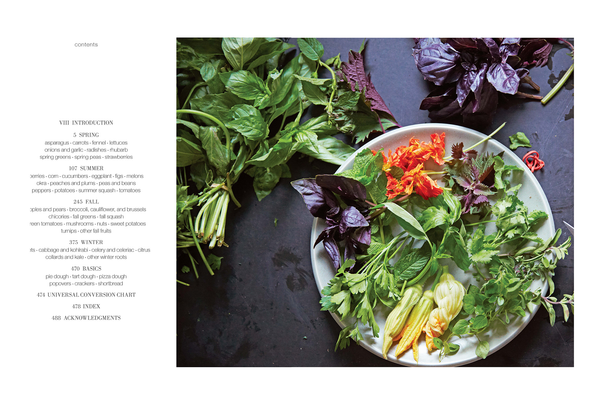 erika-oliveira-creative-director-books-steven-satterfield-root-to-leaf