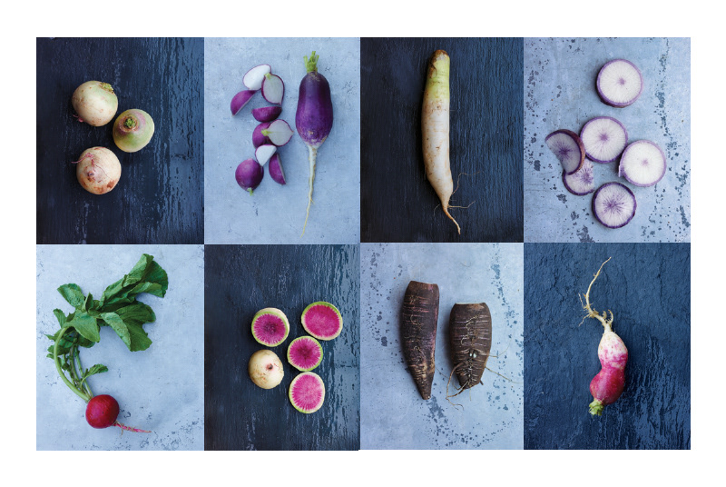 erika-oliveira-creative-director-books-steven-satterfield-root-to-leaf