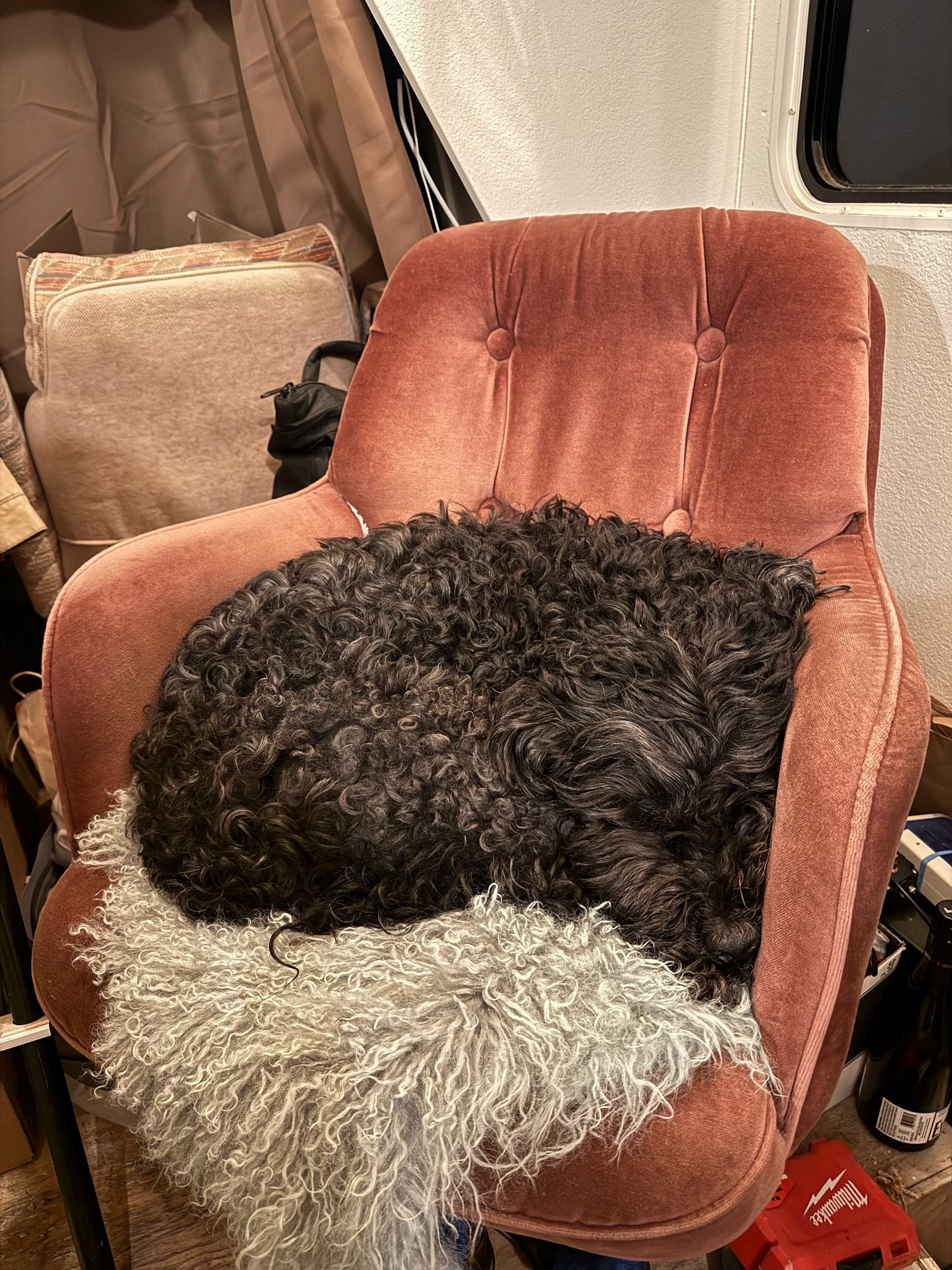 It's called the Captain's Chair but usually Bumper's got it.