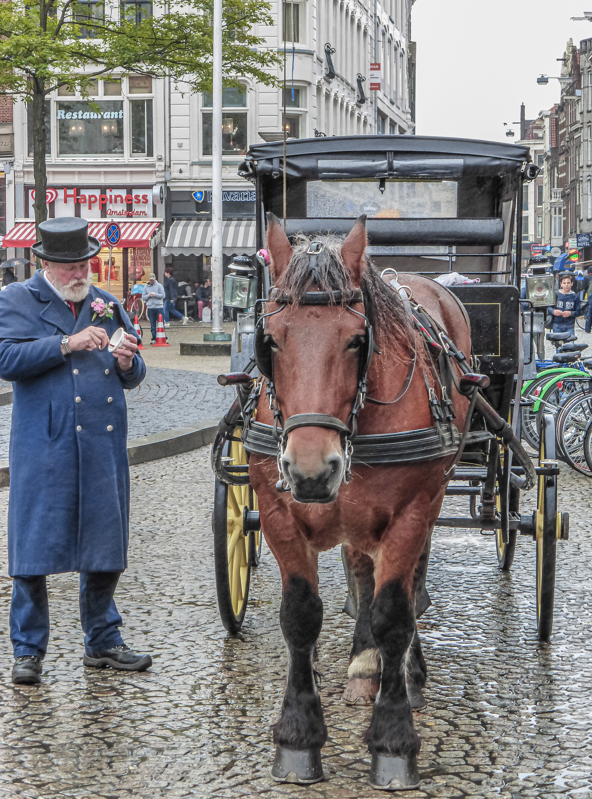 @ Amsterdam / Holland