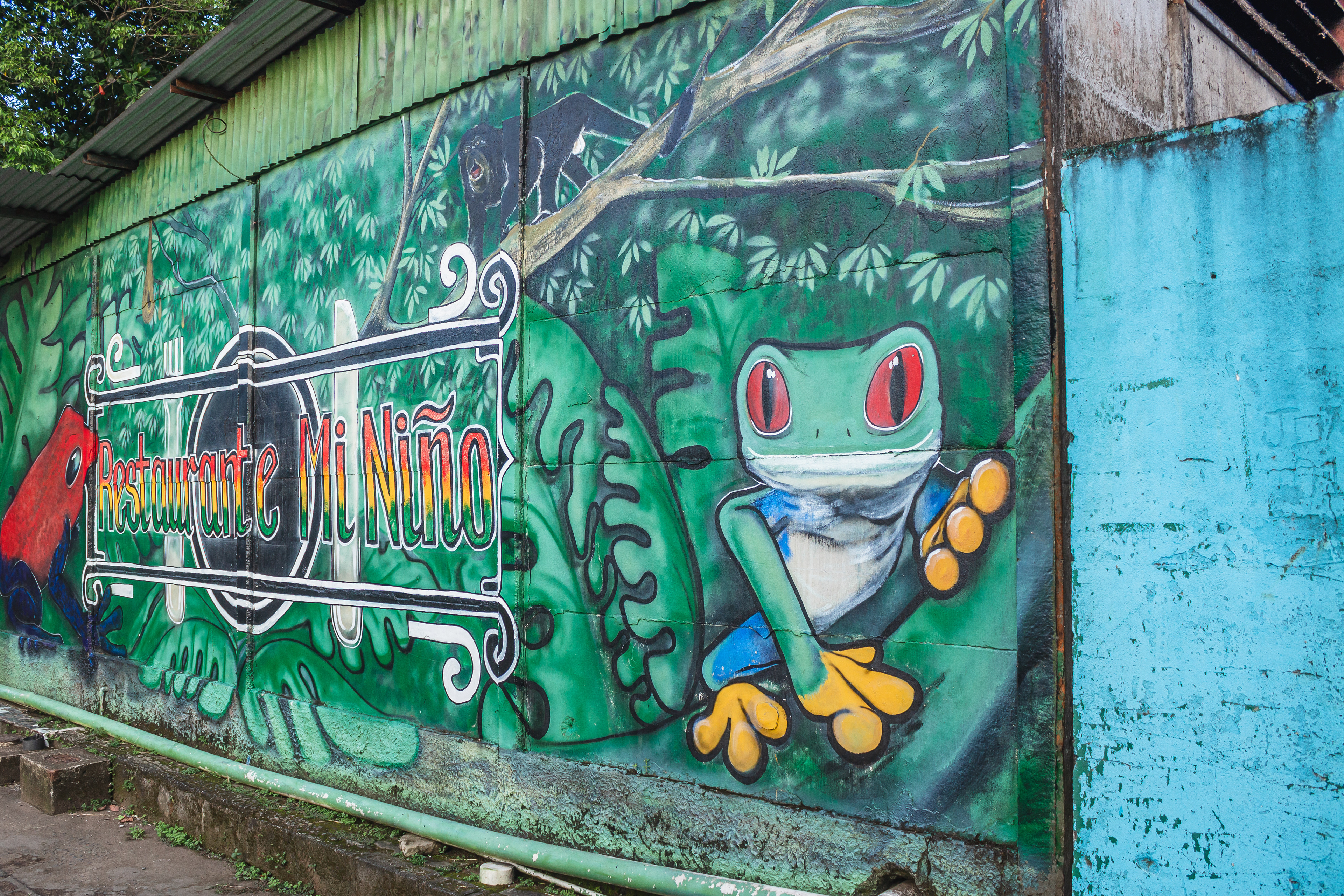 @ Tortuguero / Costa Rica