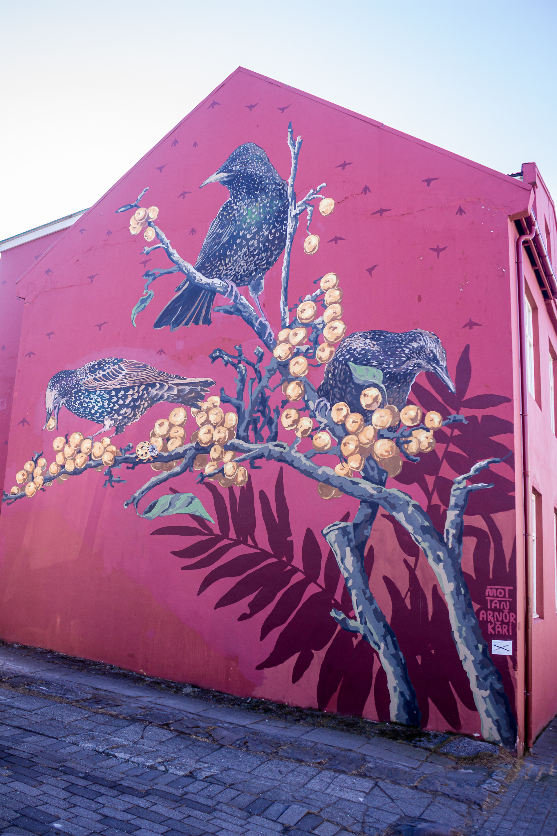 @ Reykjavik / Iceland