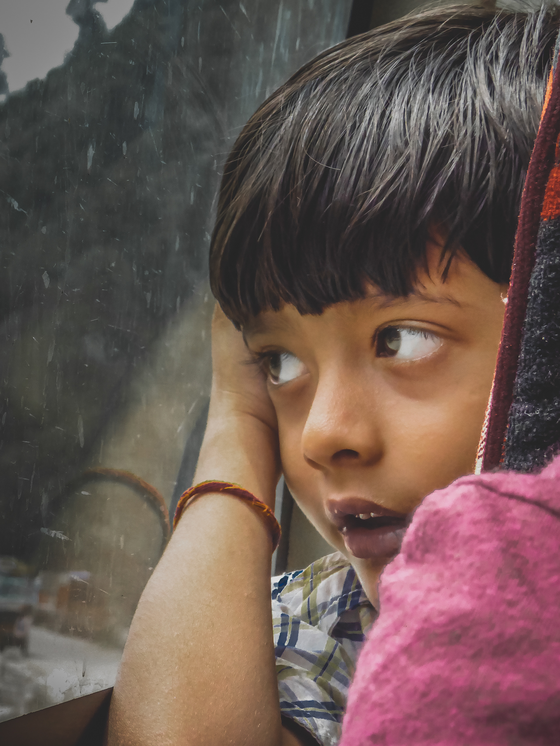 In the bus to Manali @ Himachal Pradesh / India
